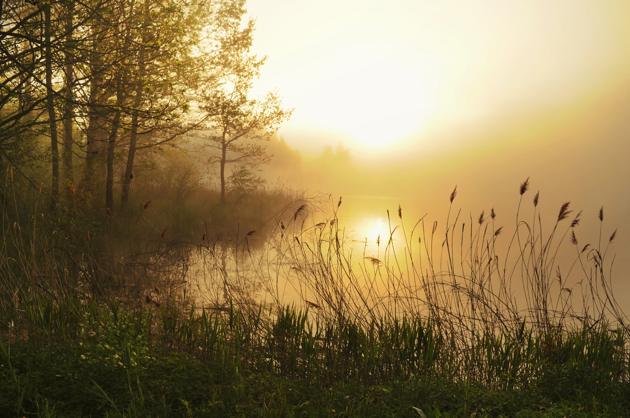 Papermoon "Stunning Foggy Landscape" glatt