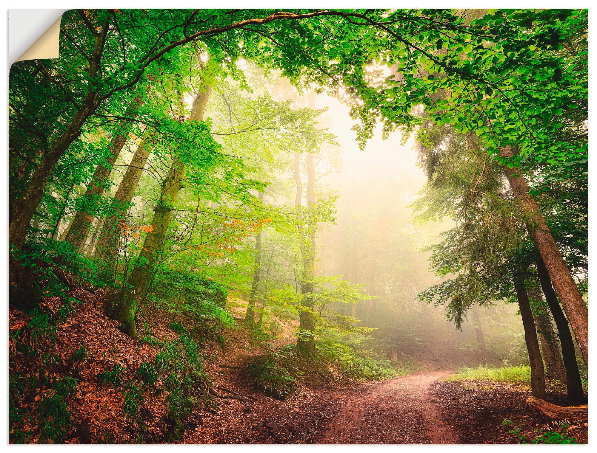 Rechnung Wald, verschied. bestellen Alubild, St.), in als Bäume«, auf Outdoorbild, Artland Wandaufkleber Wandbild Größen Torbögen durch »Natürliche (1 Poster,