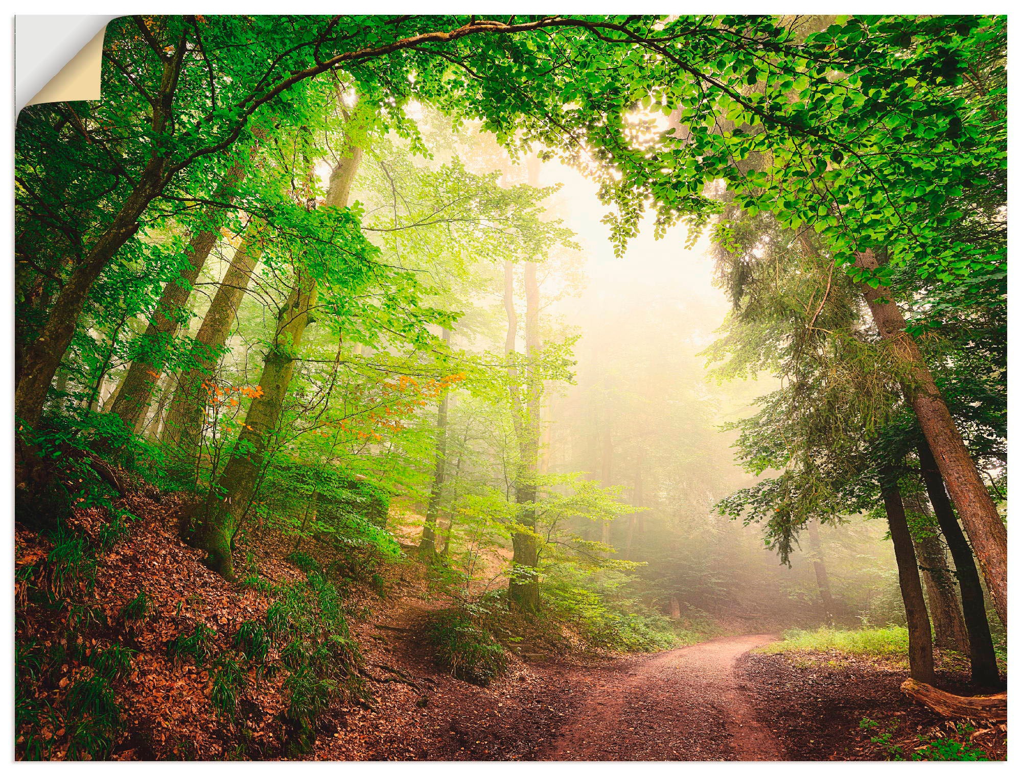 als auf Torbögen in Wald, Poster, Artland verschied. Outdoorbild, Rechnung Größen Alubild, Wandaufkleber bestellen Wandbild Bäume«, (1 durch St.), »Natürliche