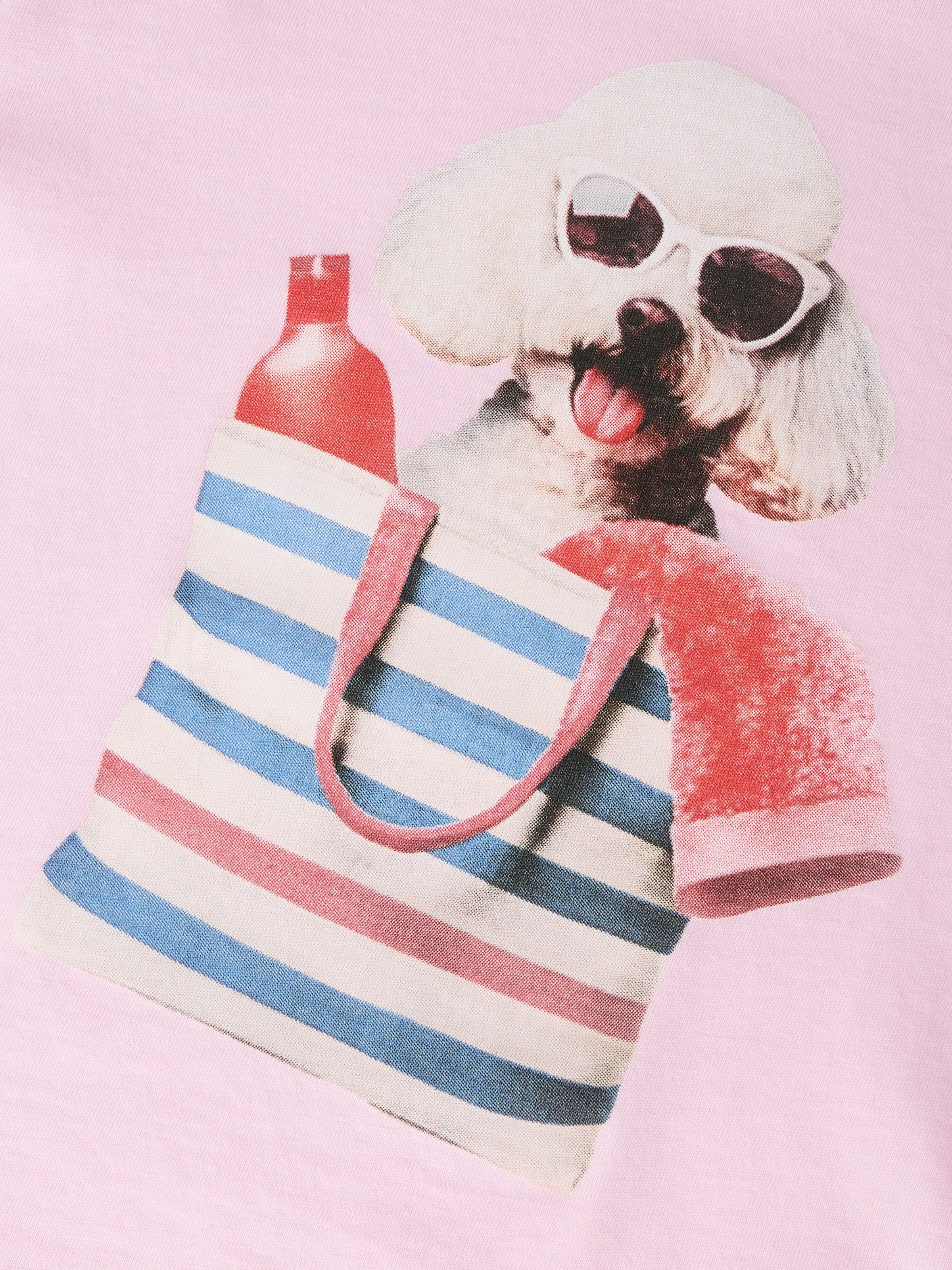 Name It Langarmshirt »NMFVOTEA LS NREG TOP« mit tollen Tiermotiven