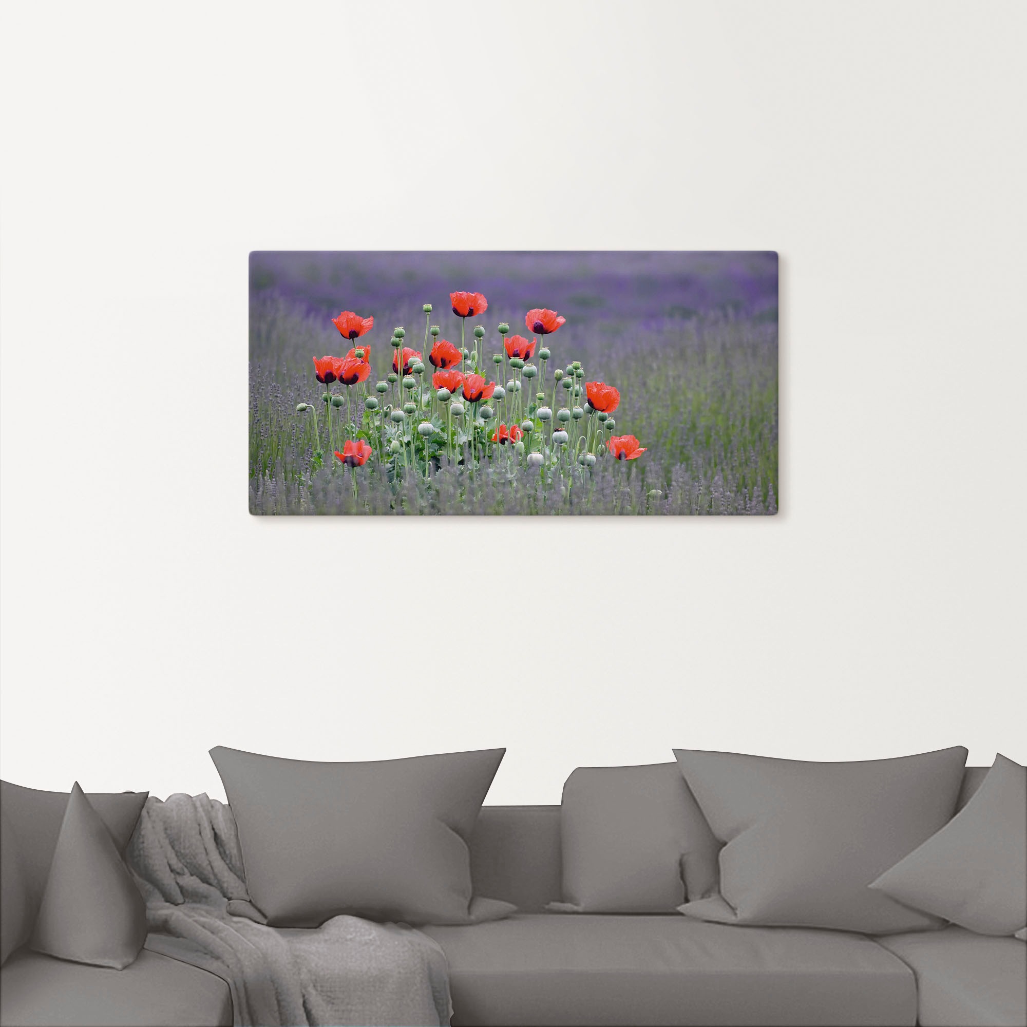 Artland Wandbild »Lavendelfarm in Sequim - Mohnblumen«, Blumenwiese, (1 St.), als Leinwandbild, Poster, Wandaufkleber in verschied. Größen