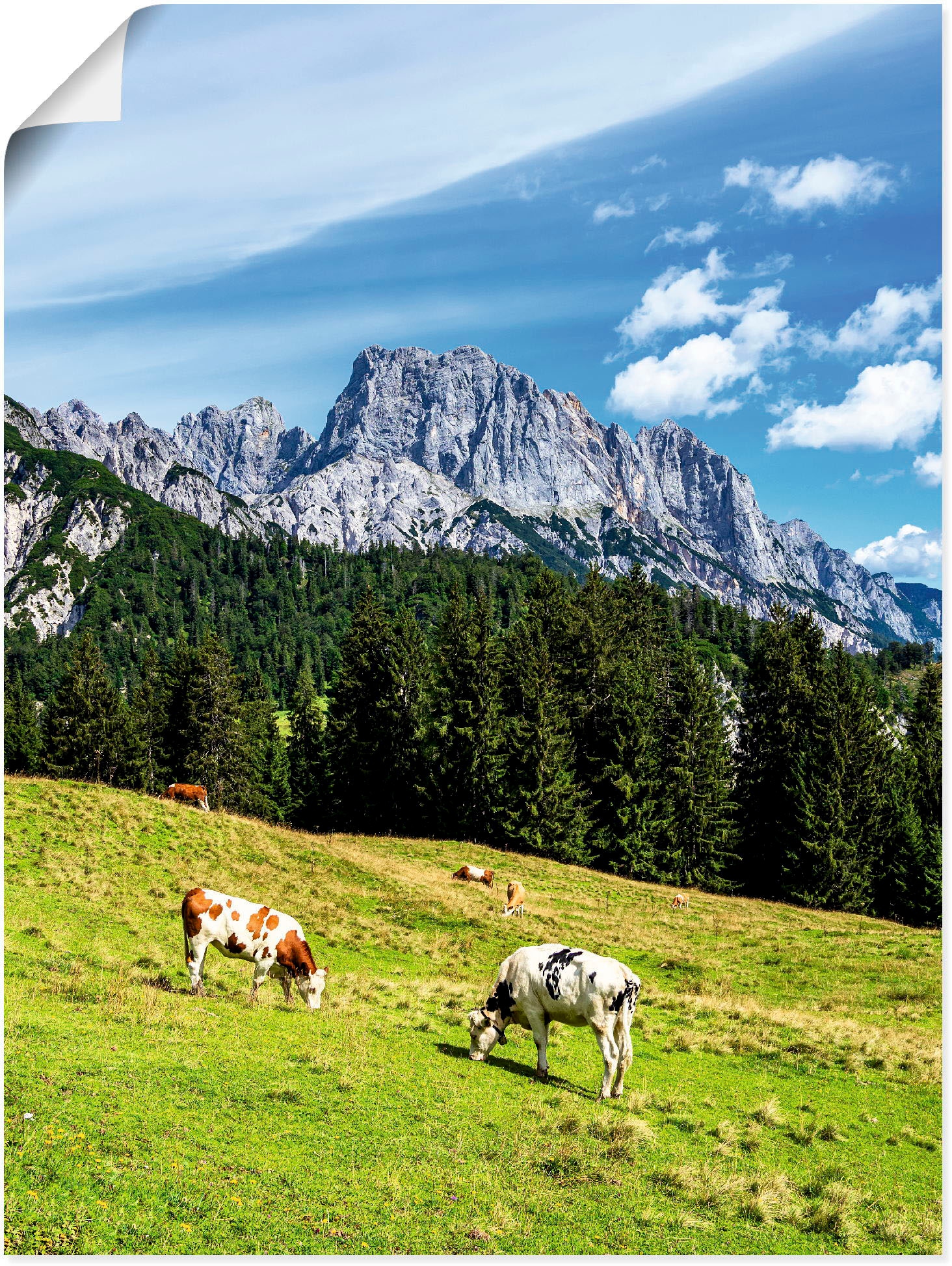 & oder Poster Alpenbilder, Artland Leinwandbild, kaufen in Litzlalm Größen St.), die Wandaufkleber »Blick Kühen«, mit auf Berge versch. (1 als Alubild, Wandbild bequem