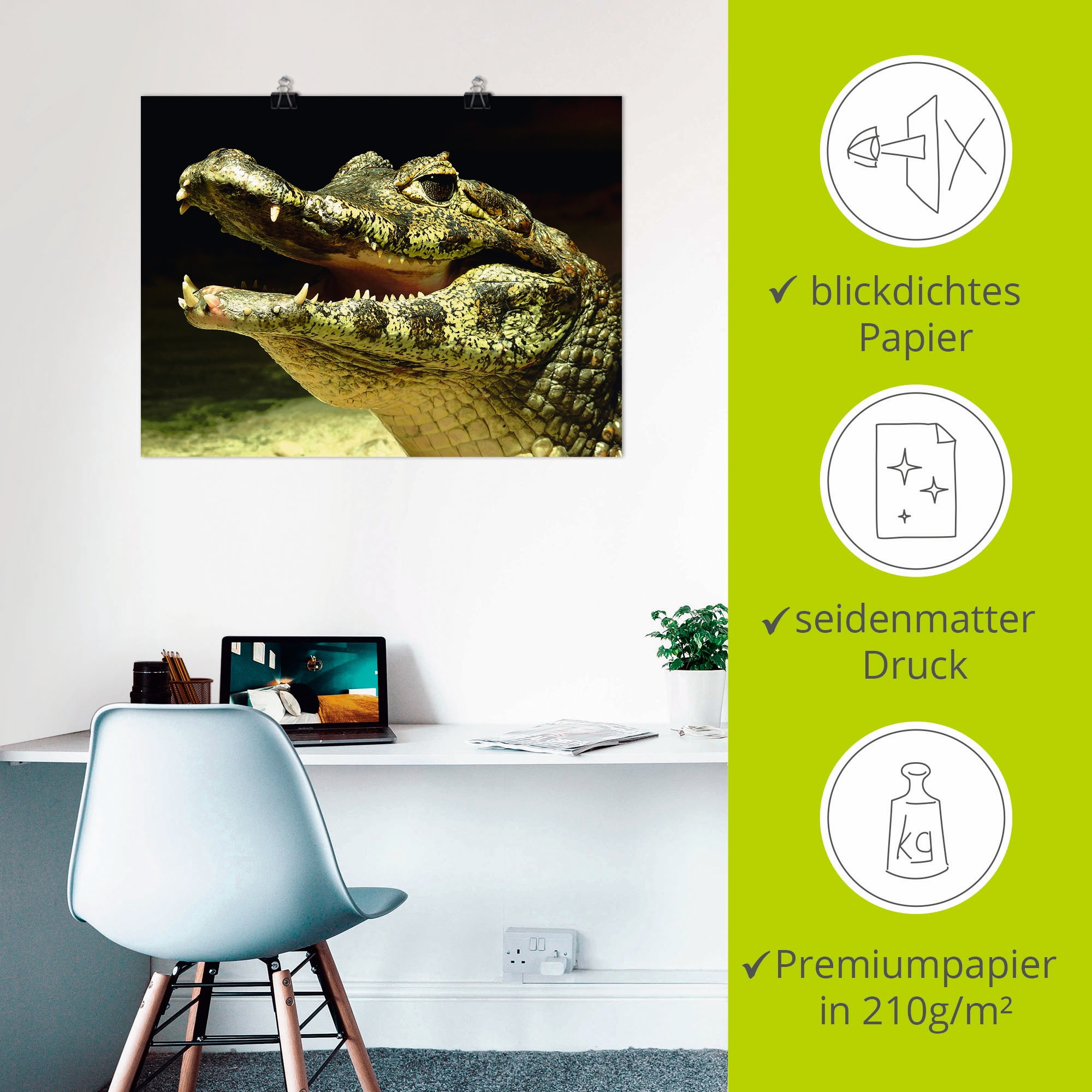 Artland Poster »Ein lächelndes Krokodil« Wassertiere 1 Stk. tlg. ohne Rahmen