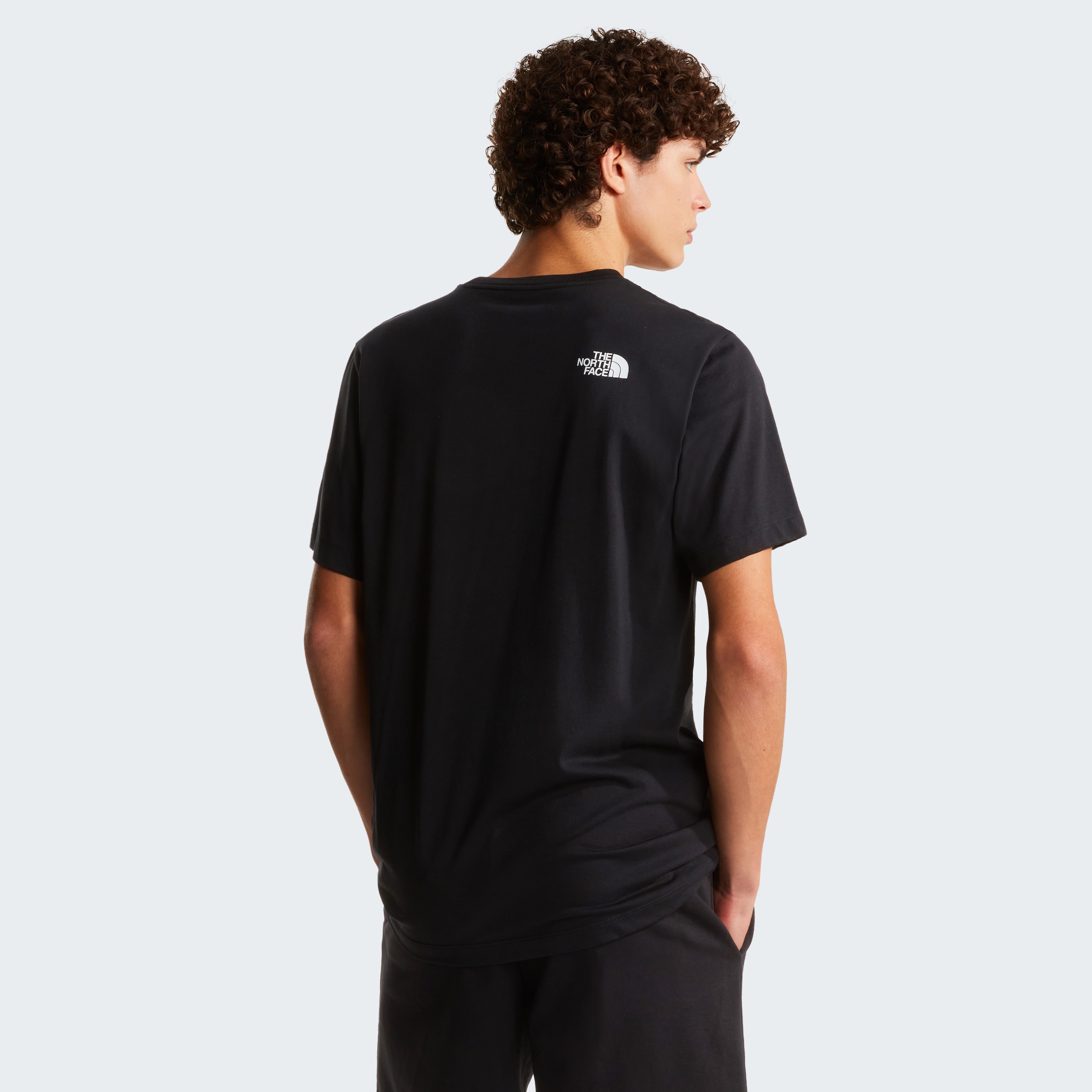 The North Face T-Shirt »M EVOLUTION BOX HALF DOME REGULAR SHORT SLEEVE TEE« normale Passform, Kurzarm, für Sportmode und Outdoormode