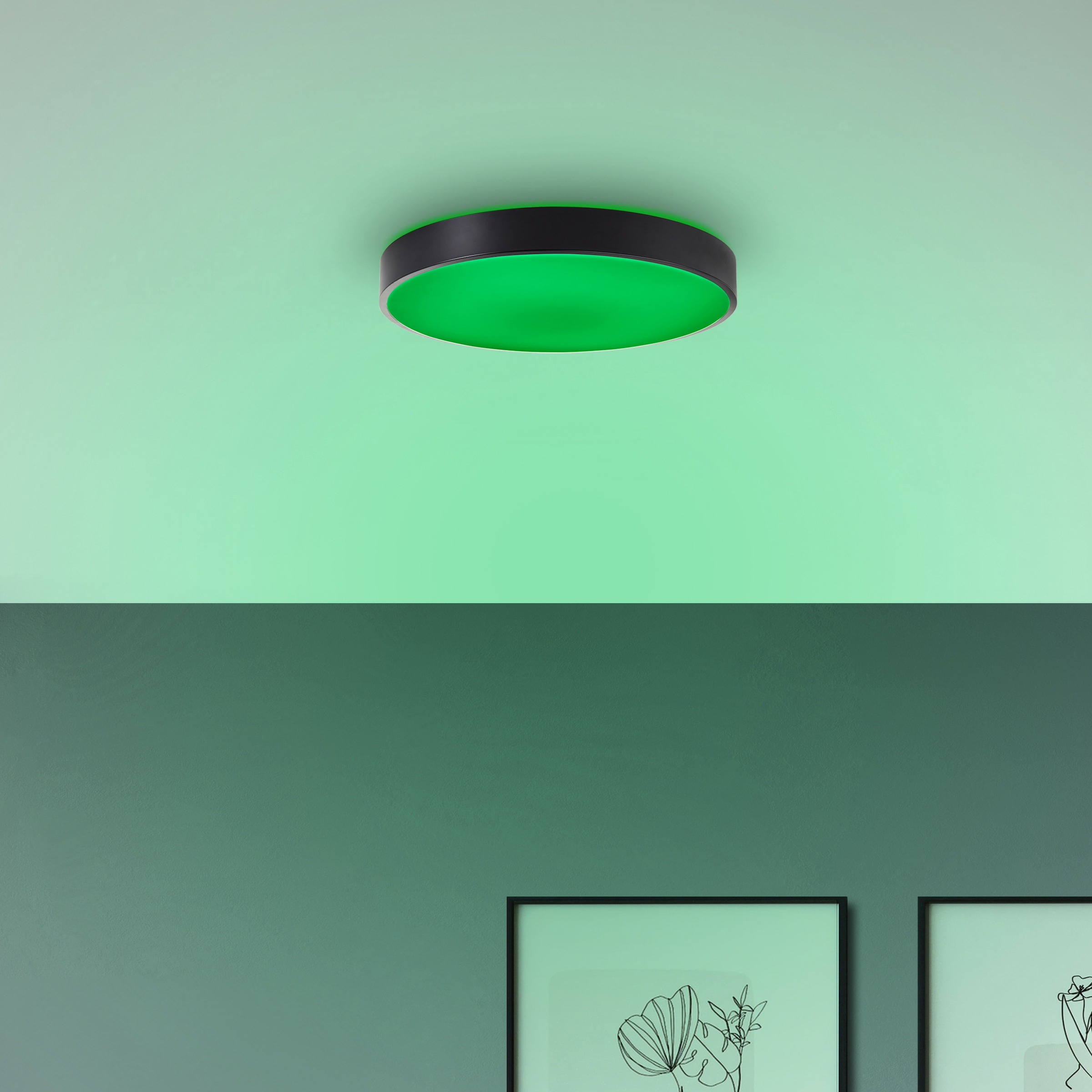 Brilliant LED Deckenleuchte »Vadin«, Smart Home Leuchte, Ø 49 cm, 3000-6500 K, 3500 lm, RGB, dimmbar