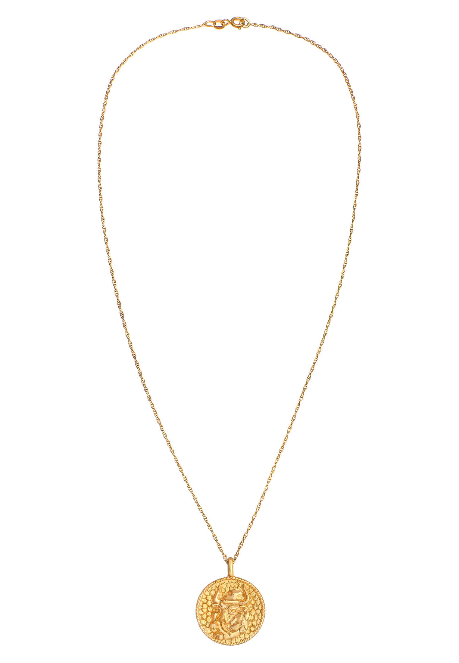 Elli Kette mit Anhänger »Halskette Sternzeichen Stier Zodiac Astro Münze 925 Silber«