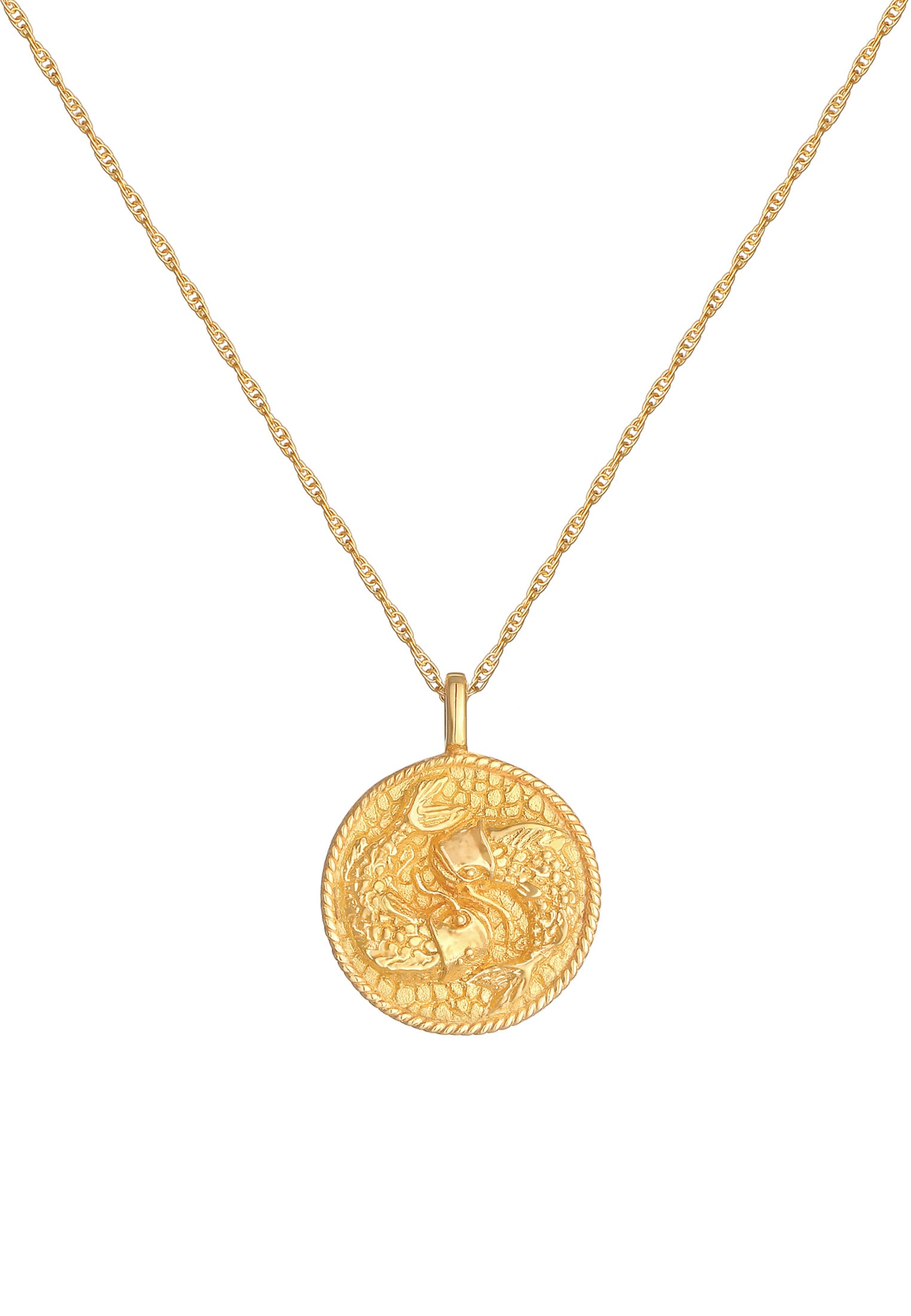Elli Kette mit Anhänger »Halskette Sternzeichen Fisch Zodiac Astro Münze 925 Silber«
