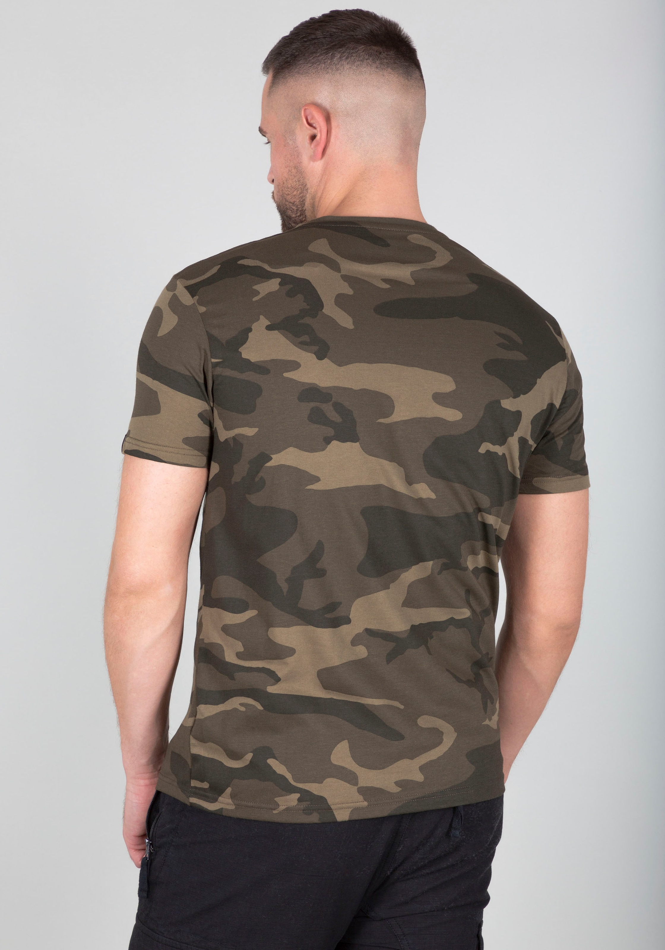 Alpha Industries Rundhalsshirt »BASIC T SMALL LOGO«