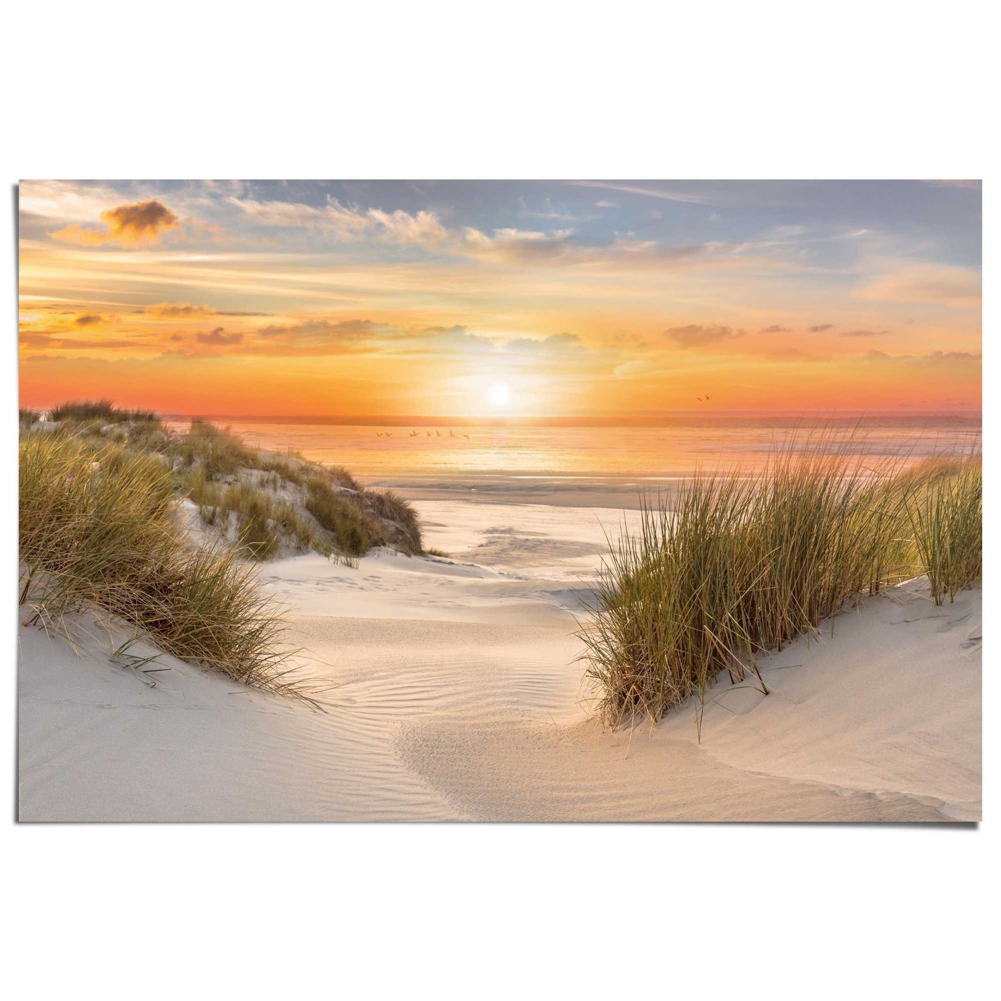 Reinders! Poster »Beautiful Dunes«