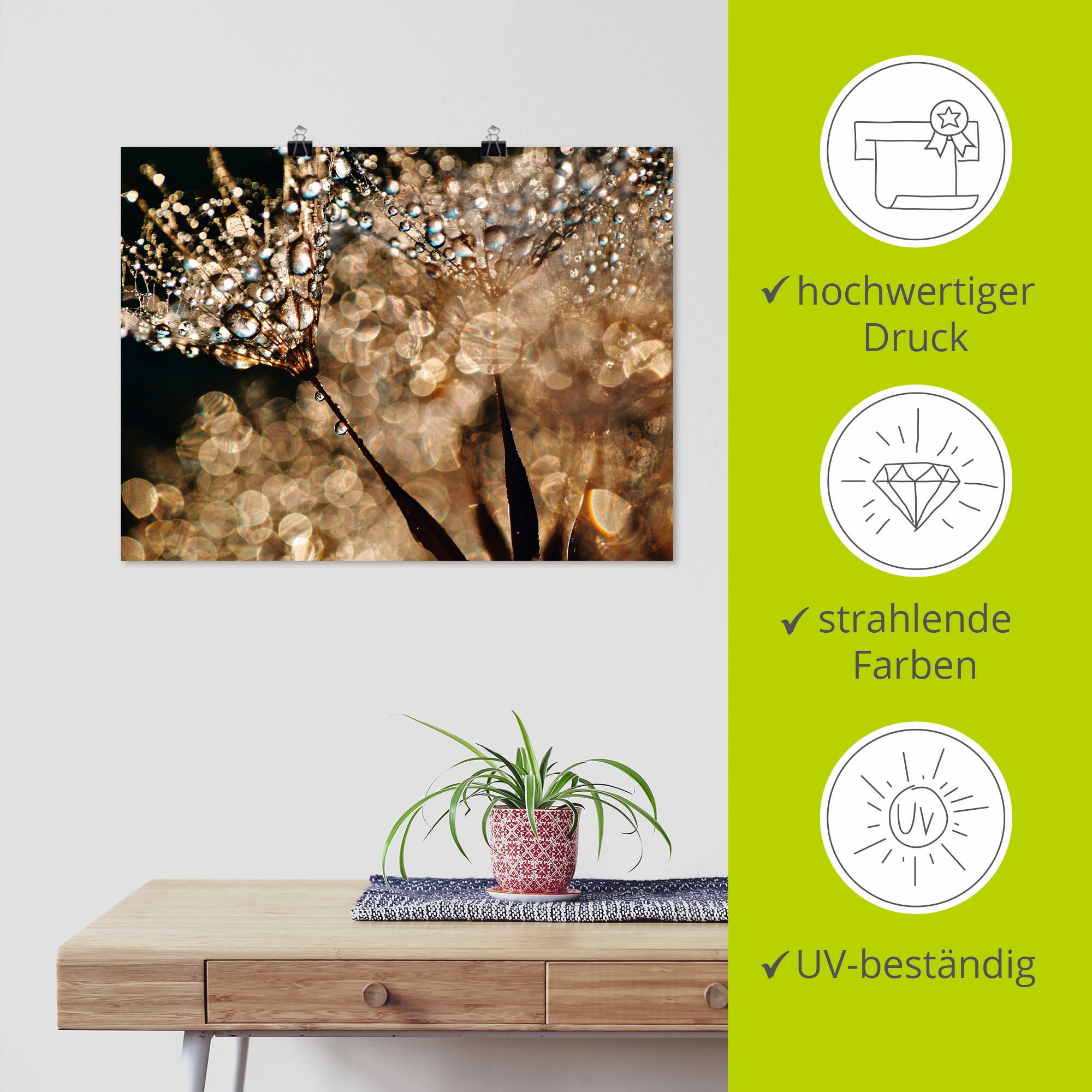 Artland Wandbild »Pusteblume Goldschimmer« Blumen 1 Stk. tlg. als Alubild, Leinwandbild, Poster in verschied. Größen