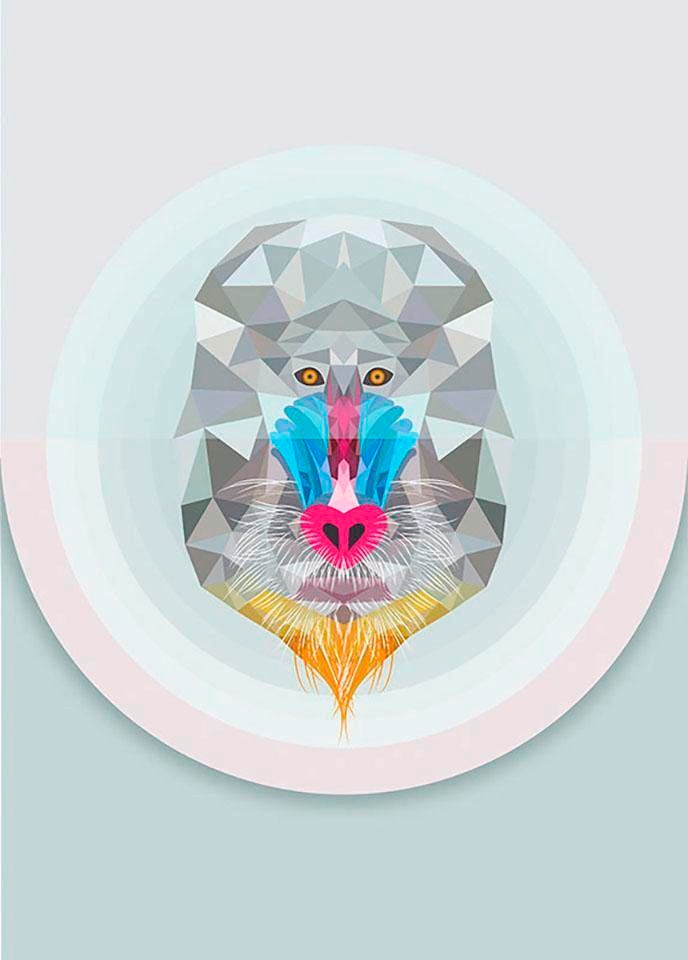 Komar Bild »Baboon« Tiere 1 Stk. tlg. Wandbild zur Dekoration - ohne Rahmen