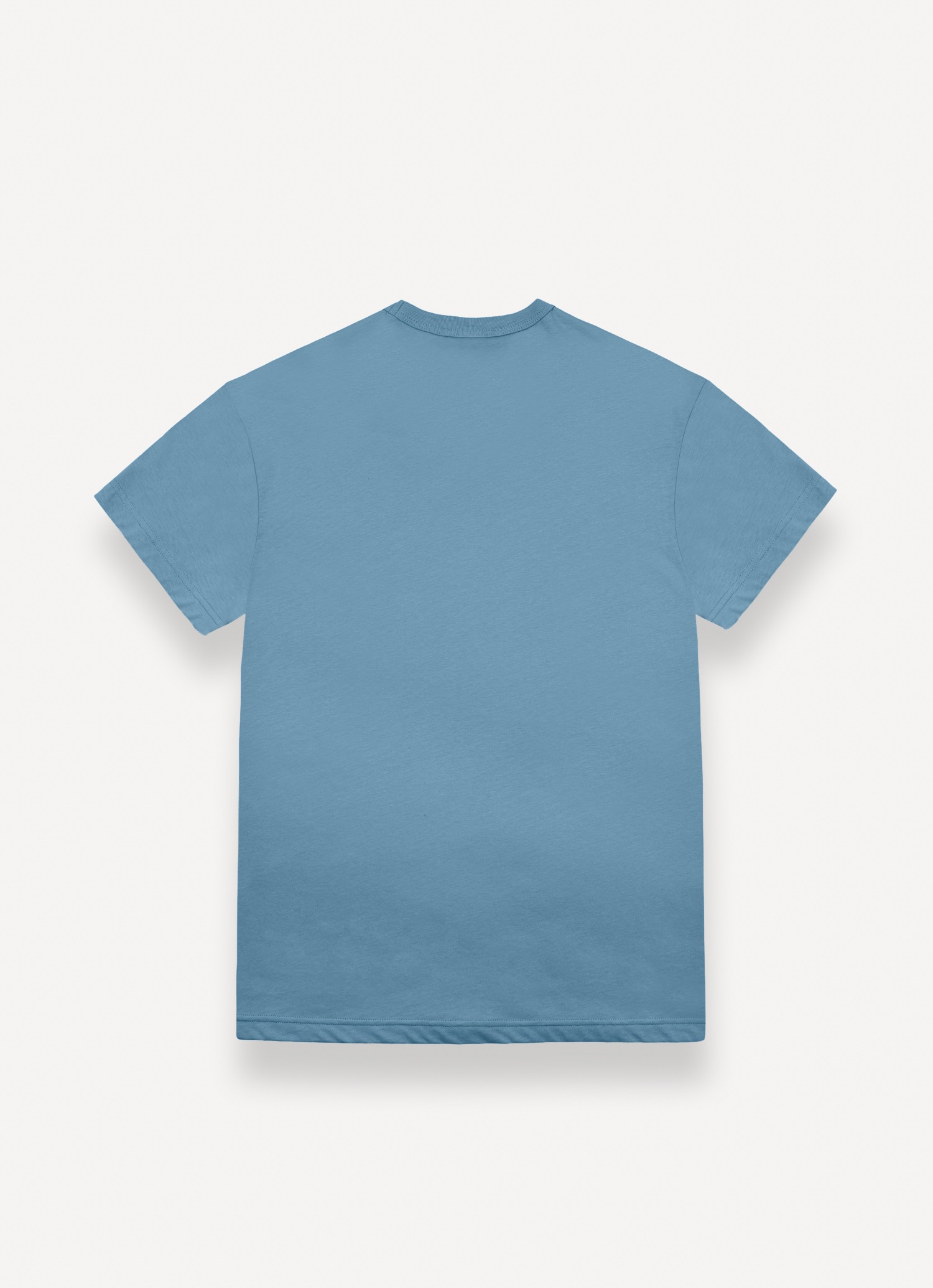 Colmar T-Shirt »MENS T-SHIRT« mit Logo, Rundhals, regular fit