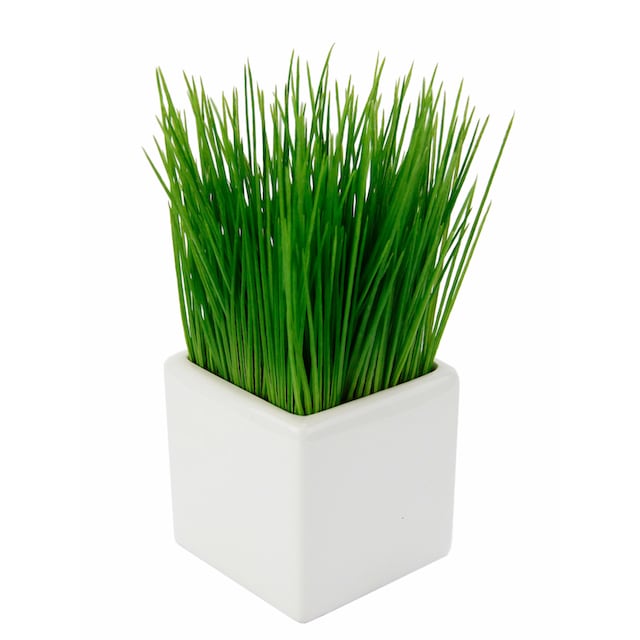 I.GE.A. Kunstpflanze »Gras« online kaufen | mit 3 Jahren XXL Garantie