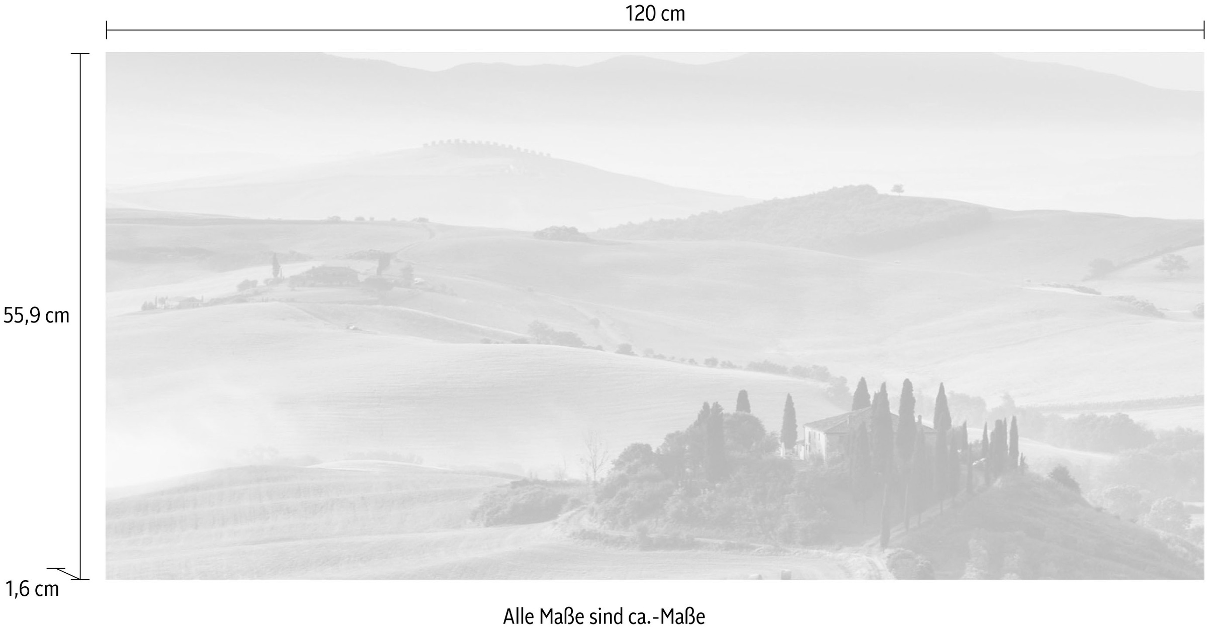 Express Küchen Küchenrückwand »Toscana«, (1 tlg.)