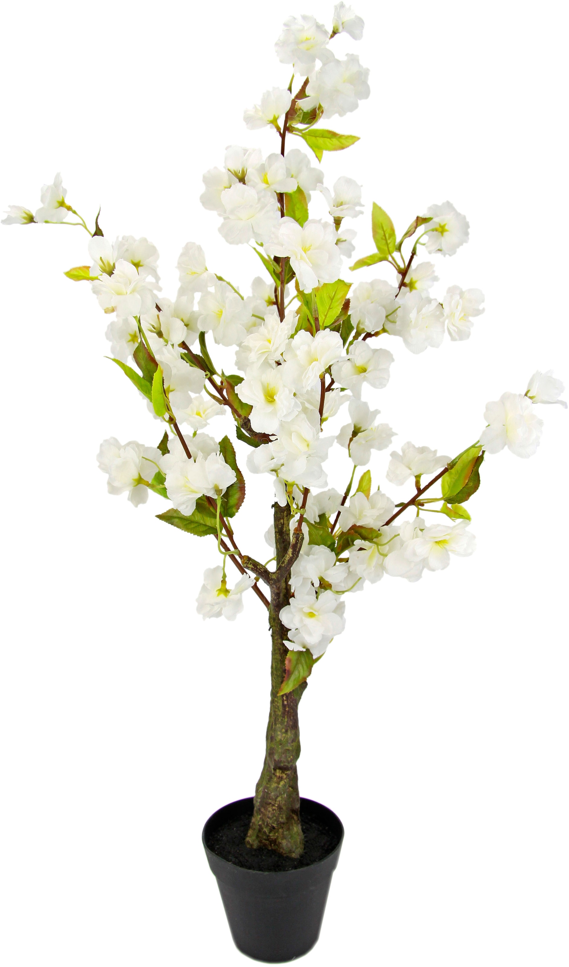 Im auf bestellen »Kirschblütenbaum«, I.GE.A. Raten Topf Kunstbaum