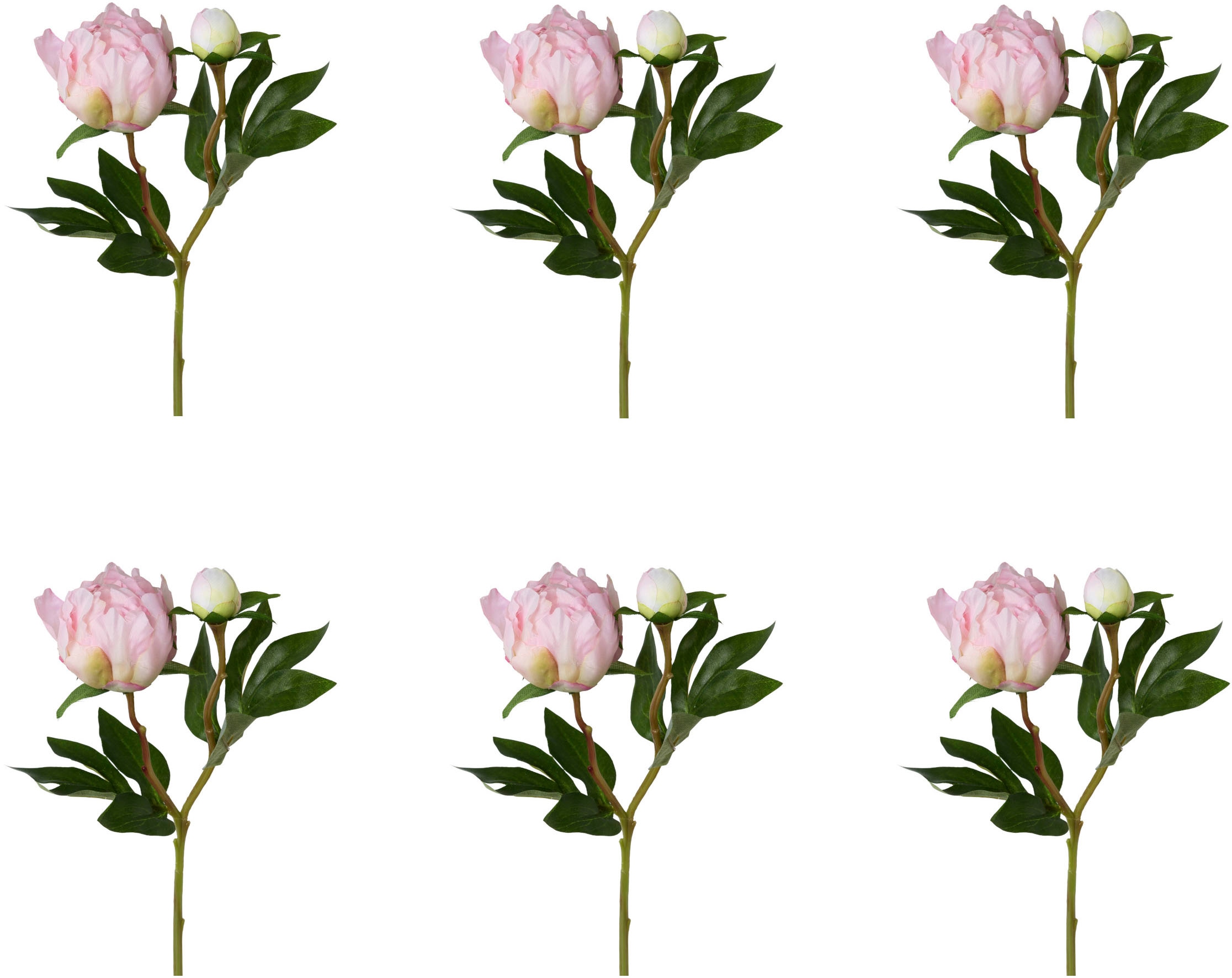 Creativ green Kunstblume »Peonie«