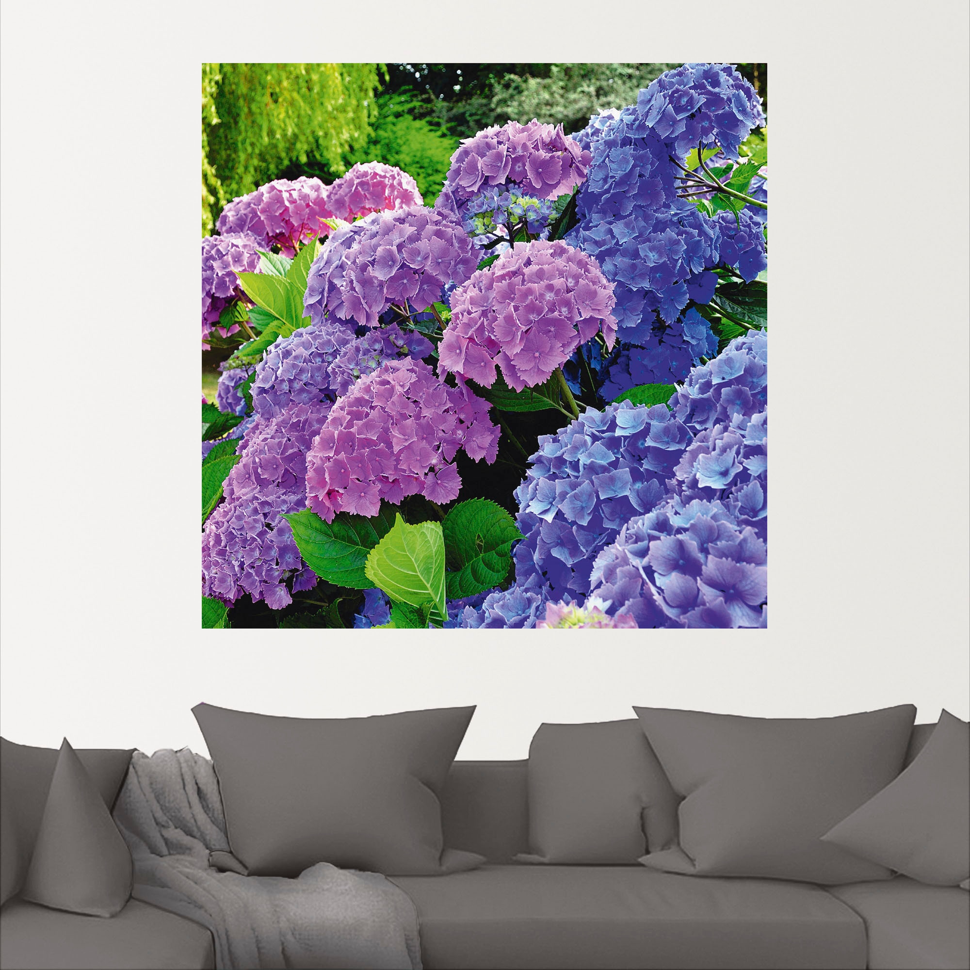 Artland Wandbild »Hortensien im Garten«, Blumen, (1 St.), als Alubild, Outdoorbild, Leinwandbild, Poster, Wandaufkleber