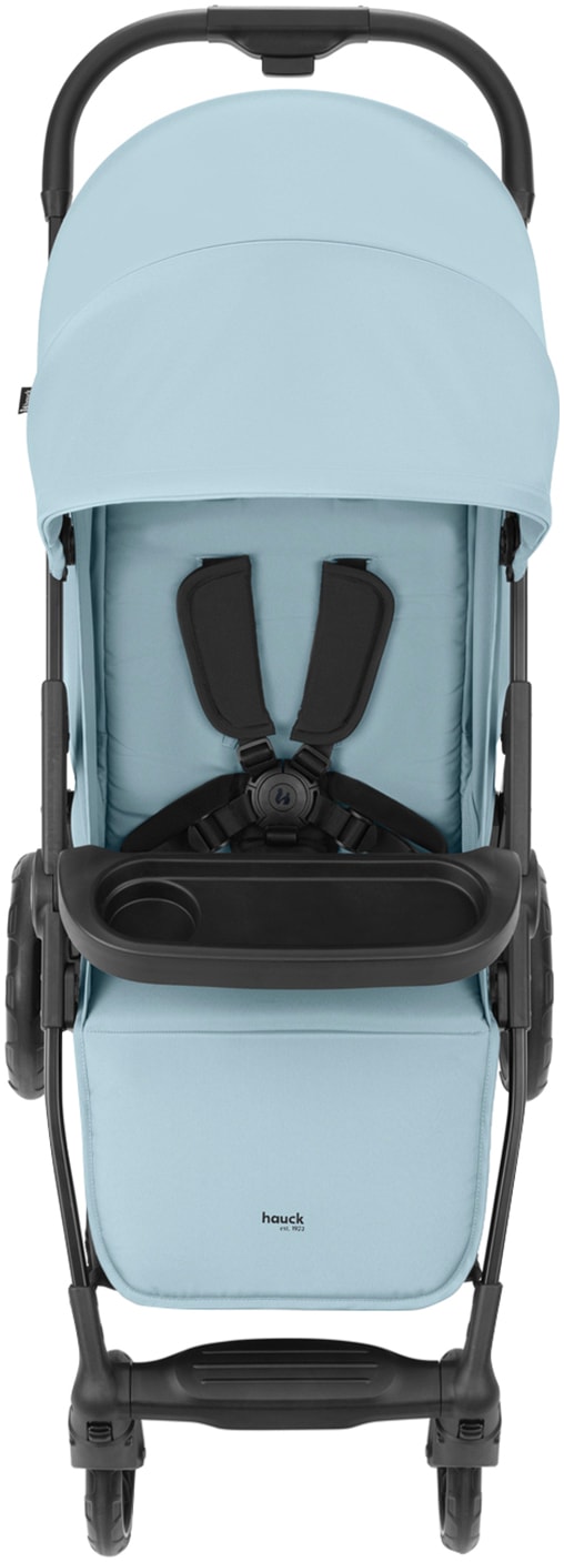 Hauck Kinder-Buggy »Shop N Care, Dusty Blue«, 22 kg, bis 22 kg belastbar; kompatibel mit Babyschale