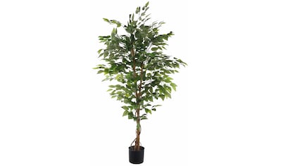 Creativ green Kunstbaum »Ficus Benjamini« auf Rechnung kaufen