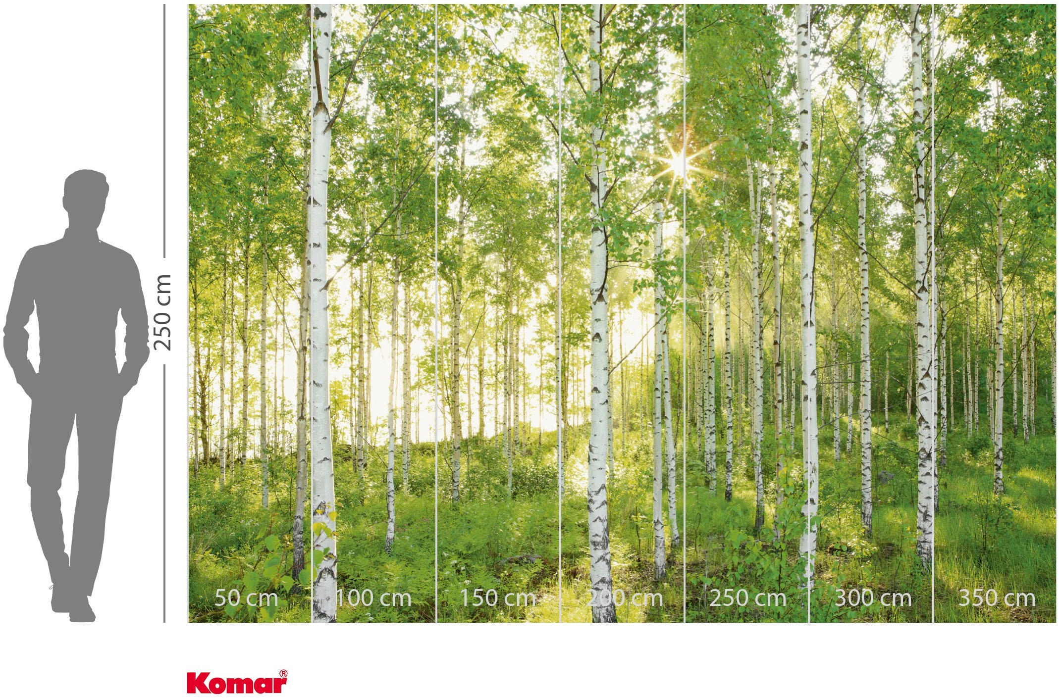 Komar Fototapete »Vlies Fototapete - Sunday - Größe 350 x 250 cm« Motiv | bedruckt glatt