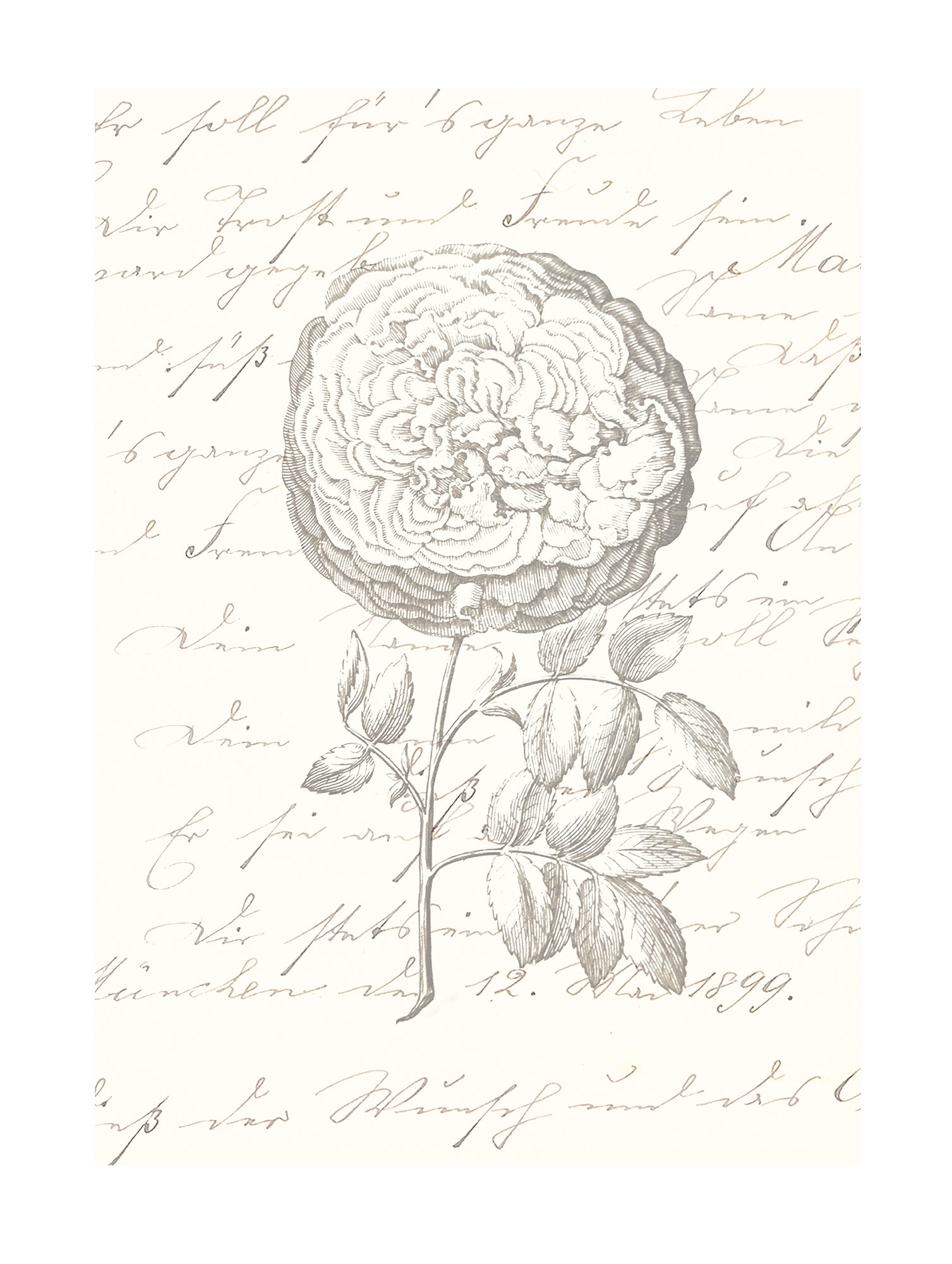 Komar Bild »Ma Chérie« Natur 1 Stk. tlg. Wandbild zur Dekoration - ohne Rahmen