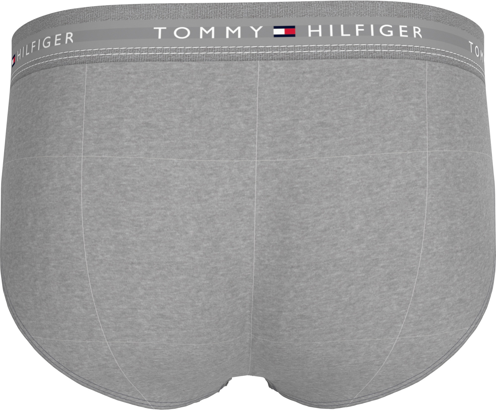 Tommy Hilfiger Underwear Slip »3P BRIEF DTM«, (Packung, 3 St., 3er), mit Logo-Elastikbund