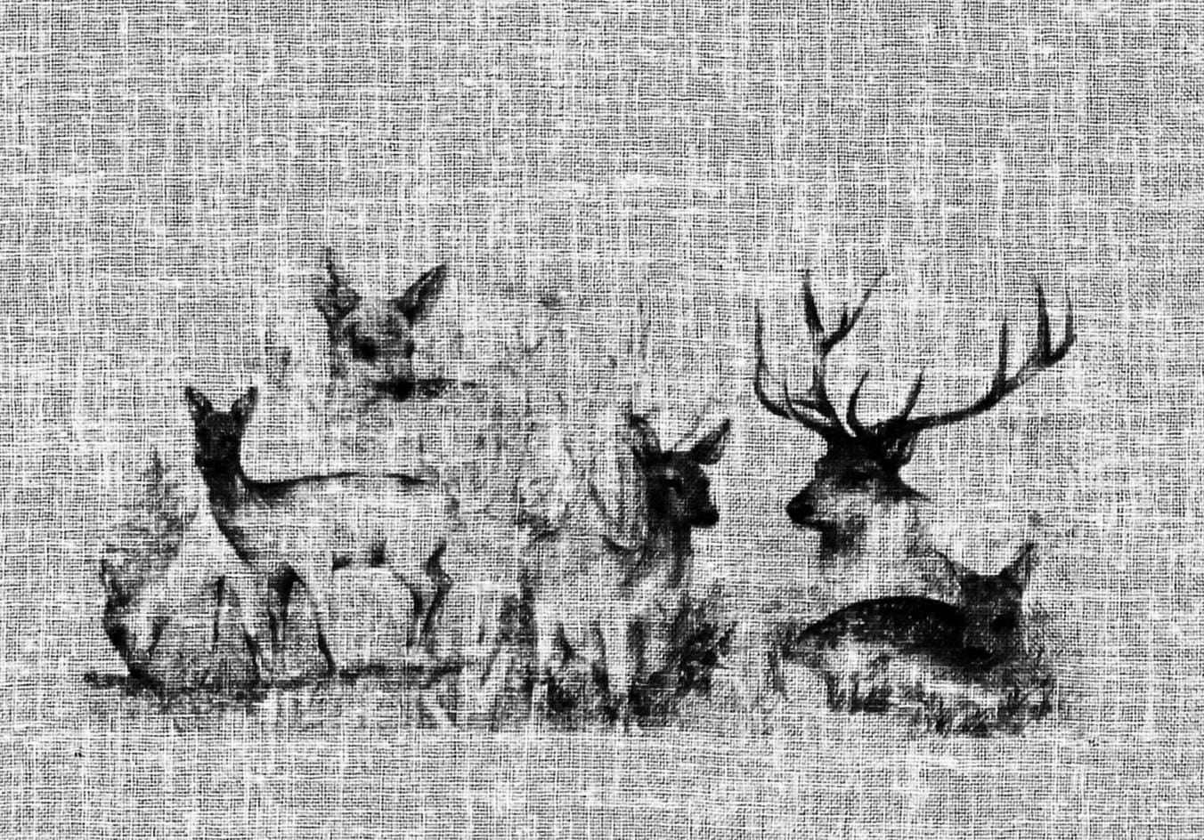 St.), - Scheibengardine (1 DECO HOME ART »Bambi«, HOSSNER kaufen online Landhaus-Look OF