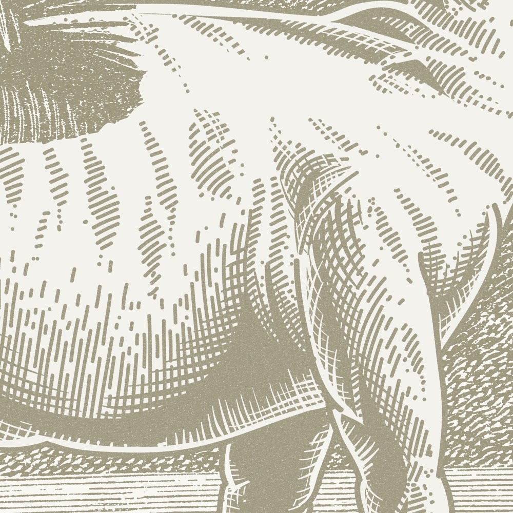 Komar Fototapete »Vlies Fototapete - Jurassic Kingdom - Größe 400 x 250 cm« Motiv | bedruckt glatt