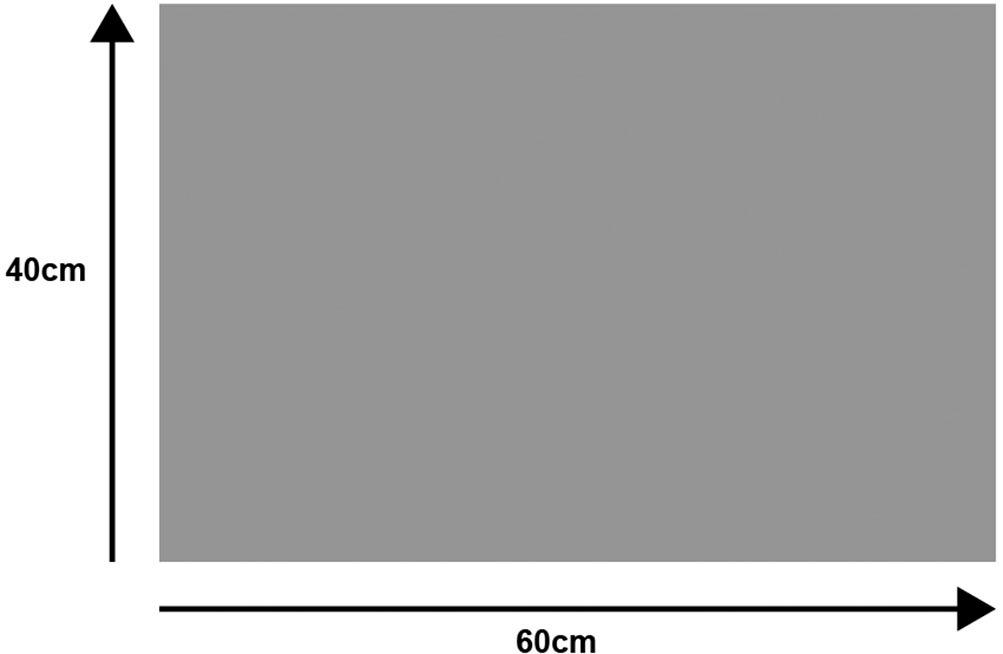 Turtle Mat Fußmatte »Paws Grey«, rechteckig, 9 mm Höhe