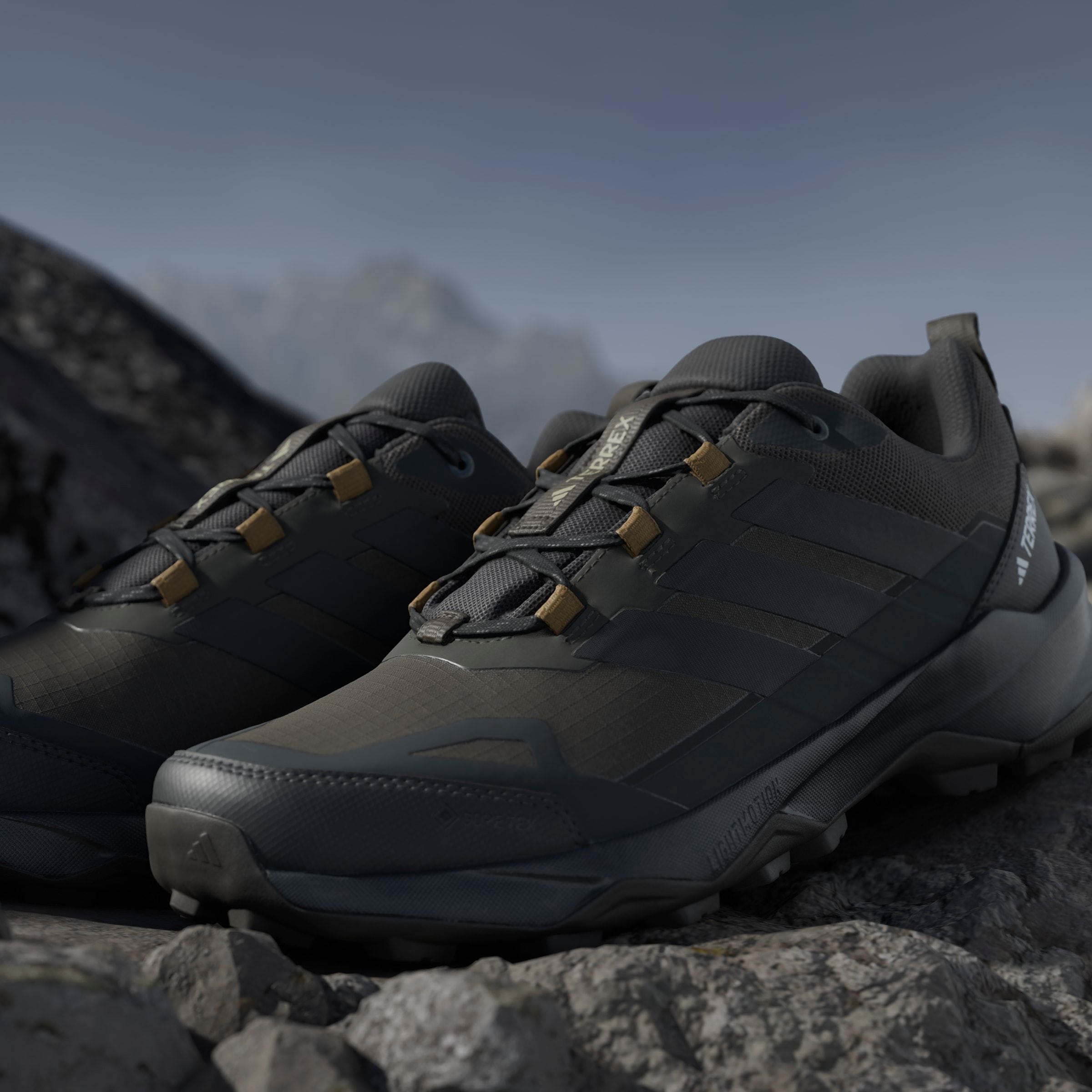 adidas TERREX Wanderschuh »TERREX SKYCHASER AX5 GORE-TEX E«, wasserdicht