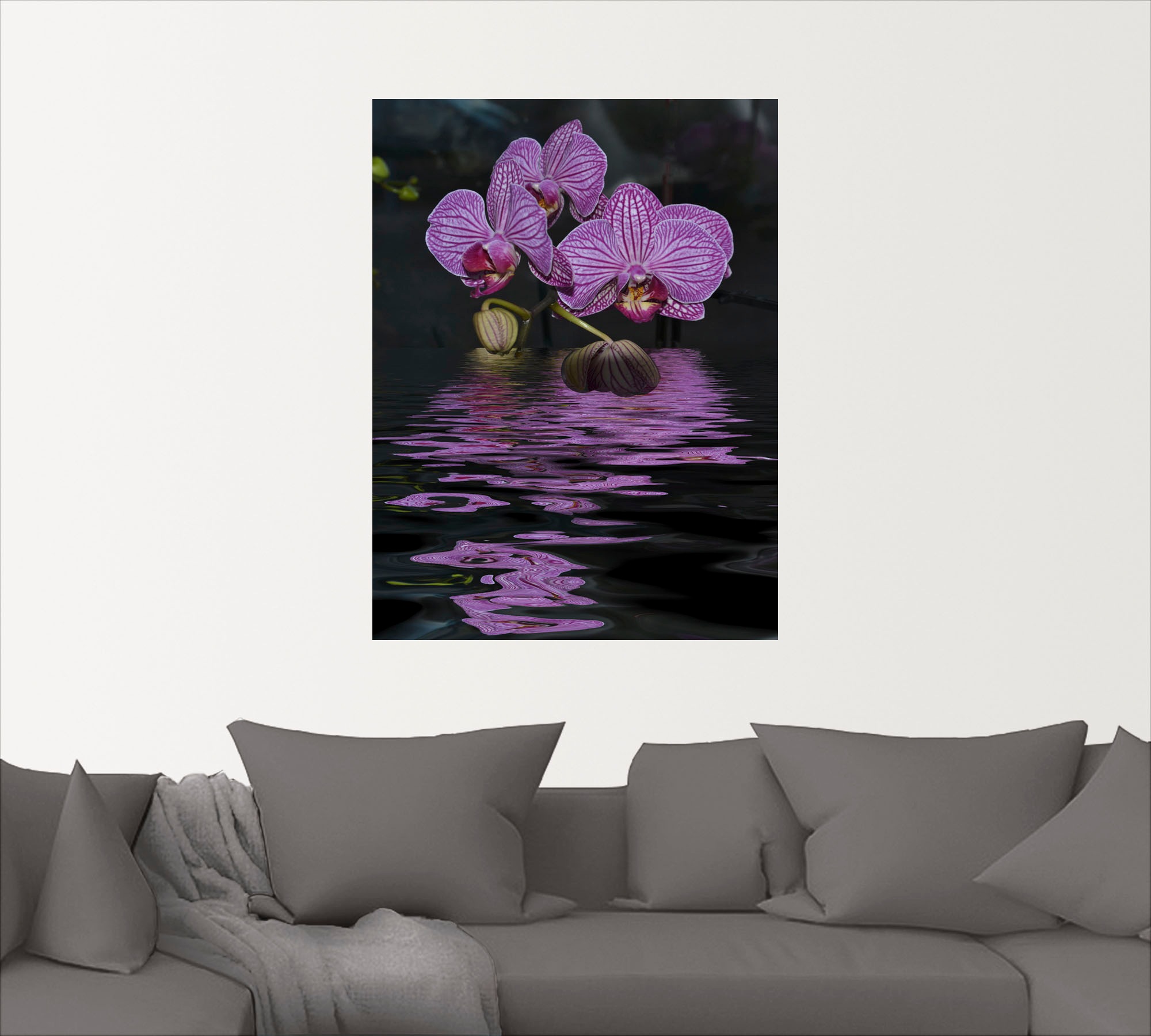 Artland Wandbild »Wasserorchidee«, Blumen, (1 St.), als Alubild, Leinwandbild, Wandaufkleber oder Poster in versch. Größen