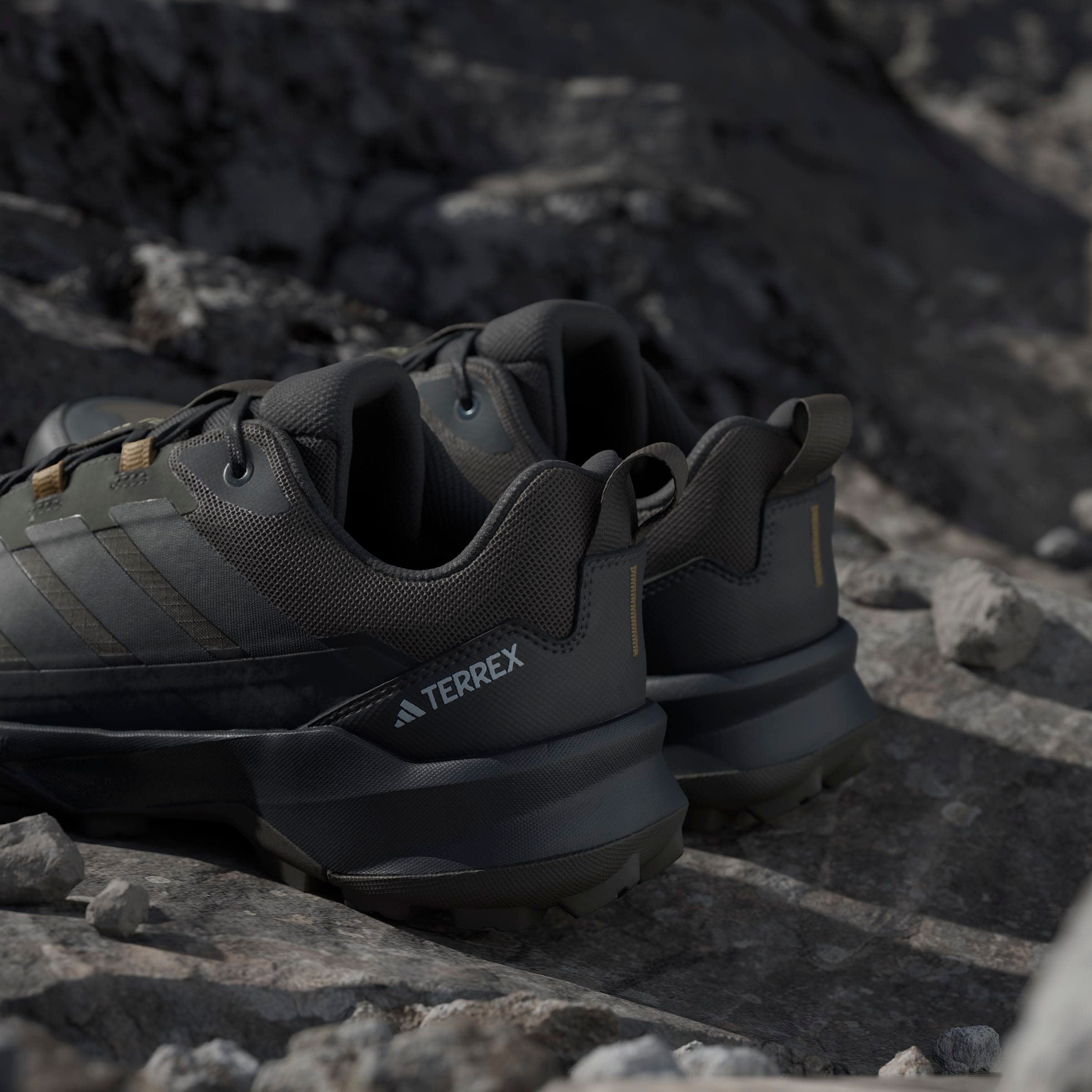 adidas TERREX Wanderschuh »TERREX SKYCHASER AX5 GORE-TEX E«, wasserdicht