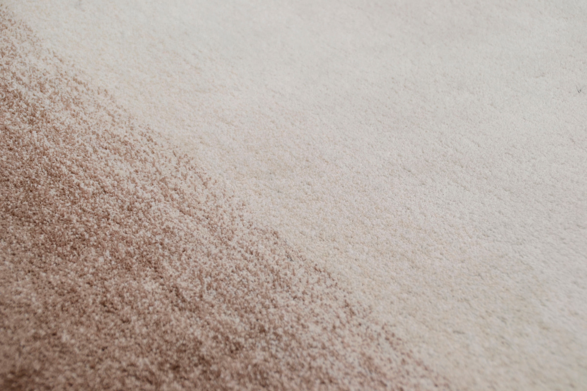 THEKO Teppich »Hula«, rechteckig, 18 mm Höhe, besonders weich durch Microfaser, ideal im Wohnzimmer & Schlafzimmer