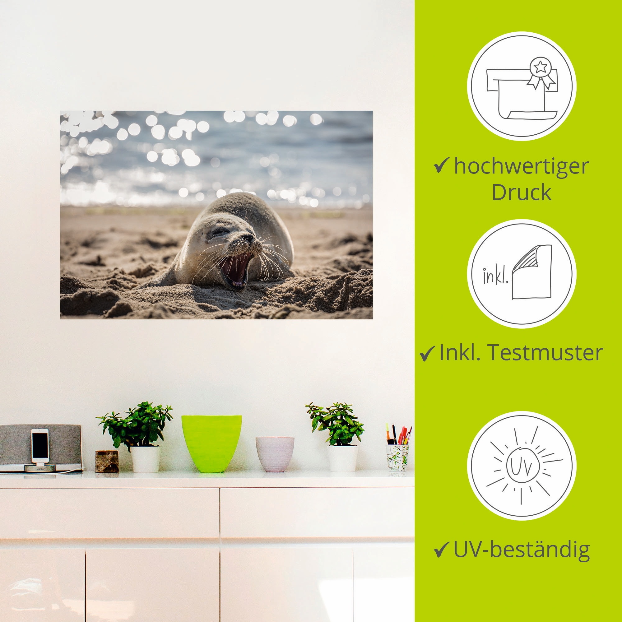 Artland Wandbild »Baby-Robbe am Strand von List, Sylt«, Robben, (1 St.), als Poster, Wandaufkleber in verschied. Größen