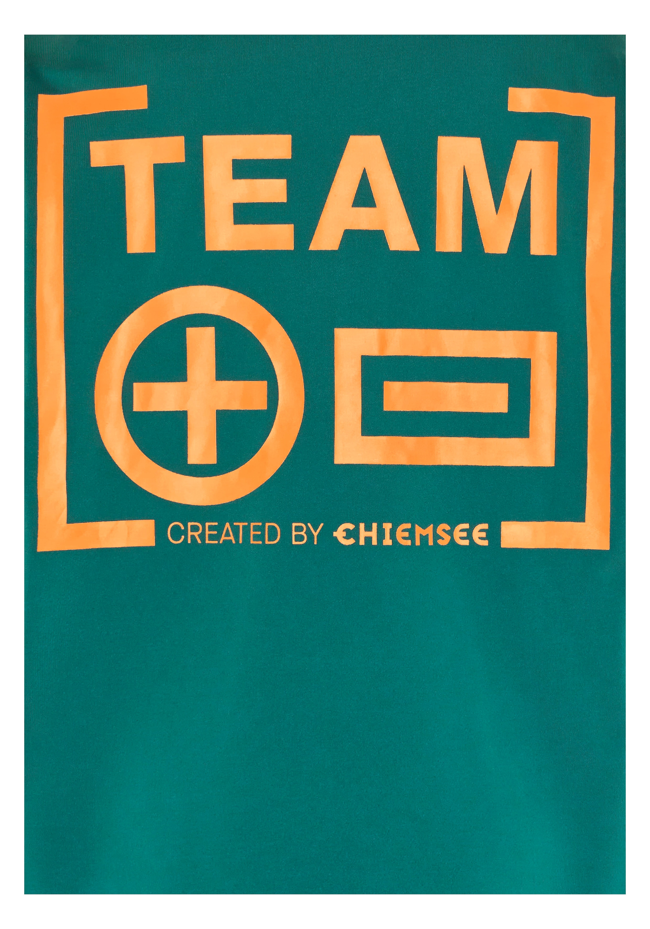 Chiemsee Troyer - mit plakativem Logoprint auf dem R&uuml;cken<br/>