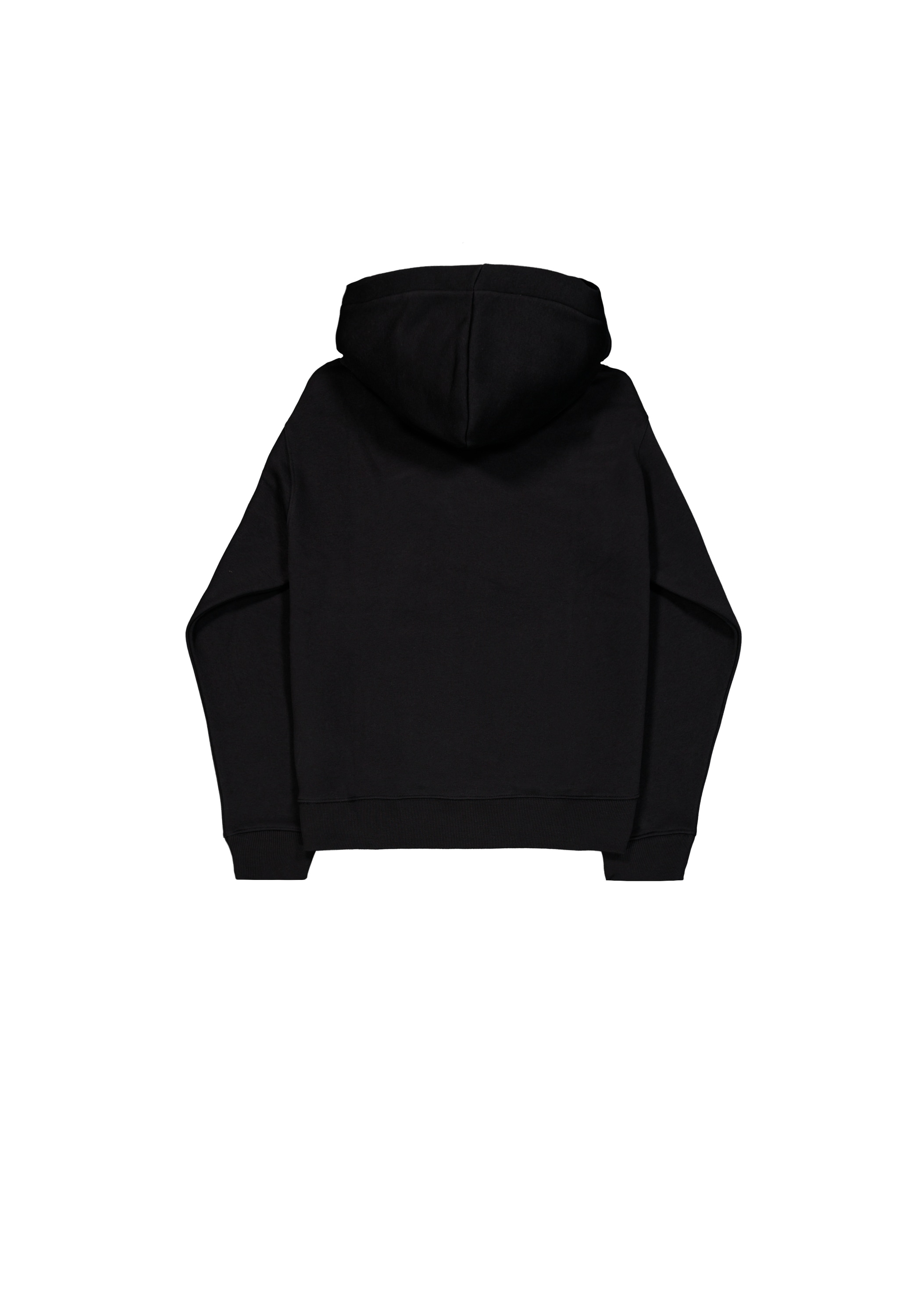 Alpha Industries Hoodie »Basic Hoodie BL TPU«

