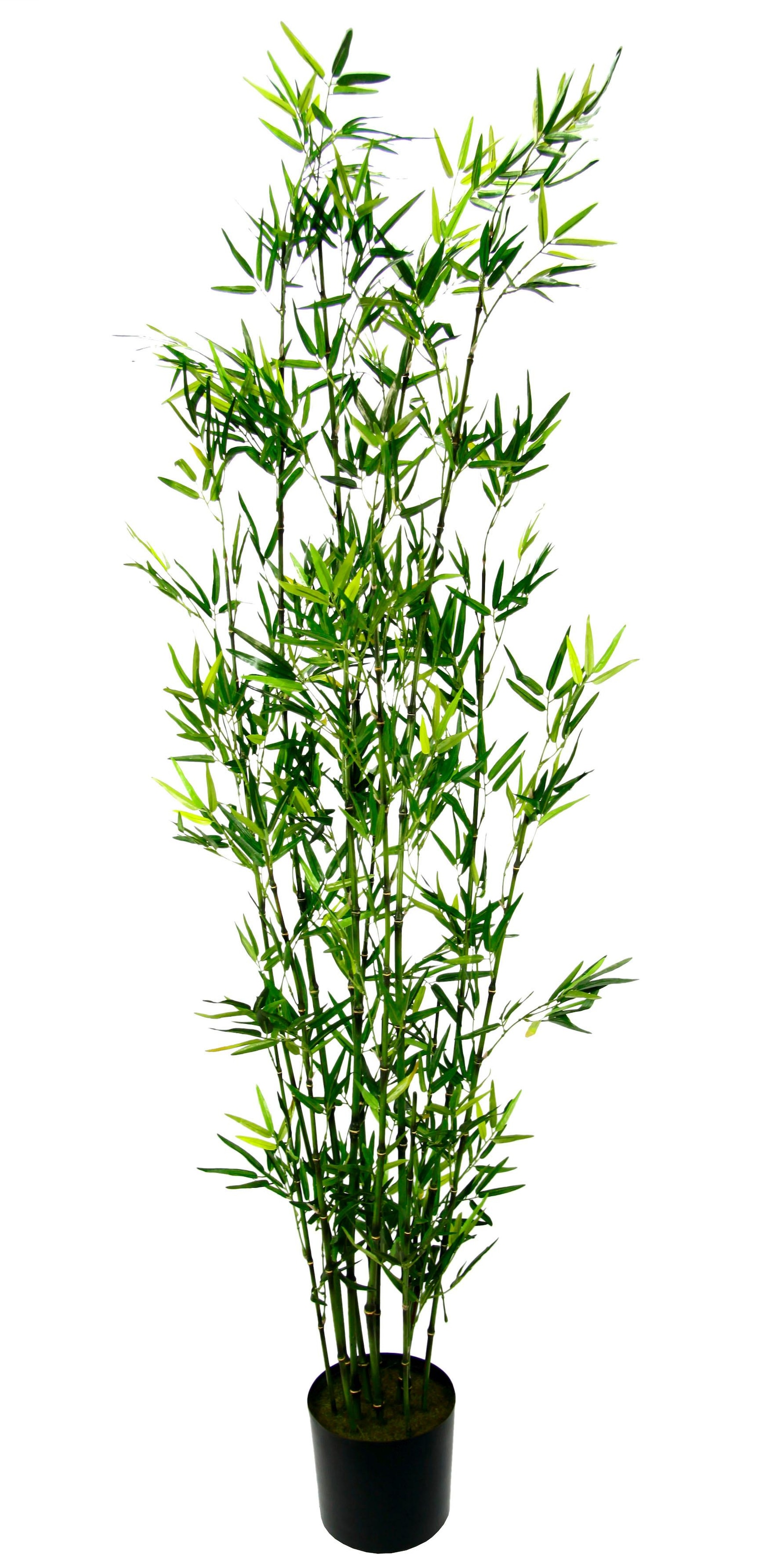 I.GE.A. Kunstpflanze »Bambus im Topf« XXL Jahren online kaufen 3 | mit Garantie