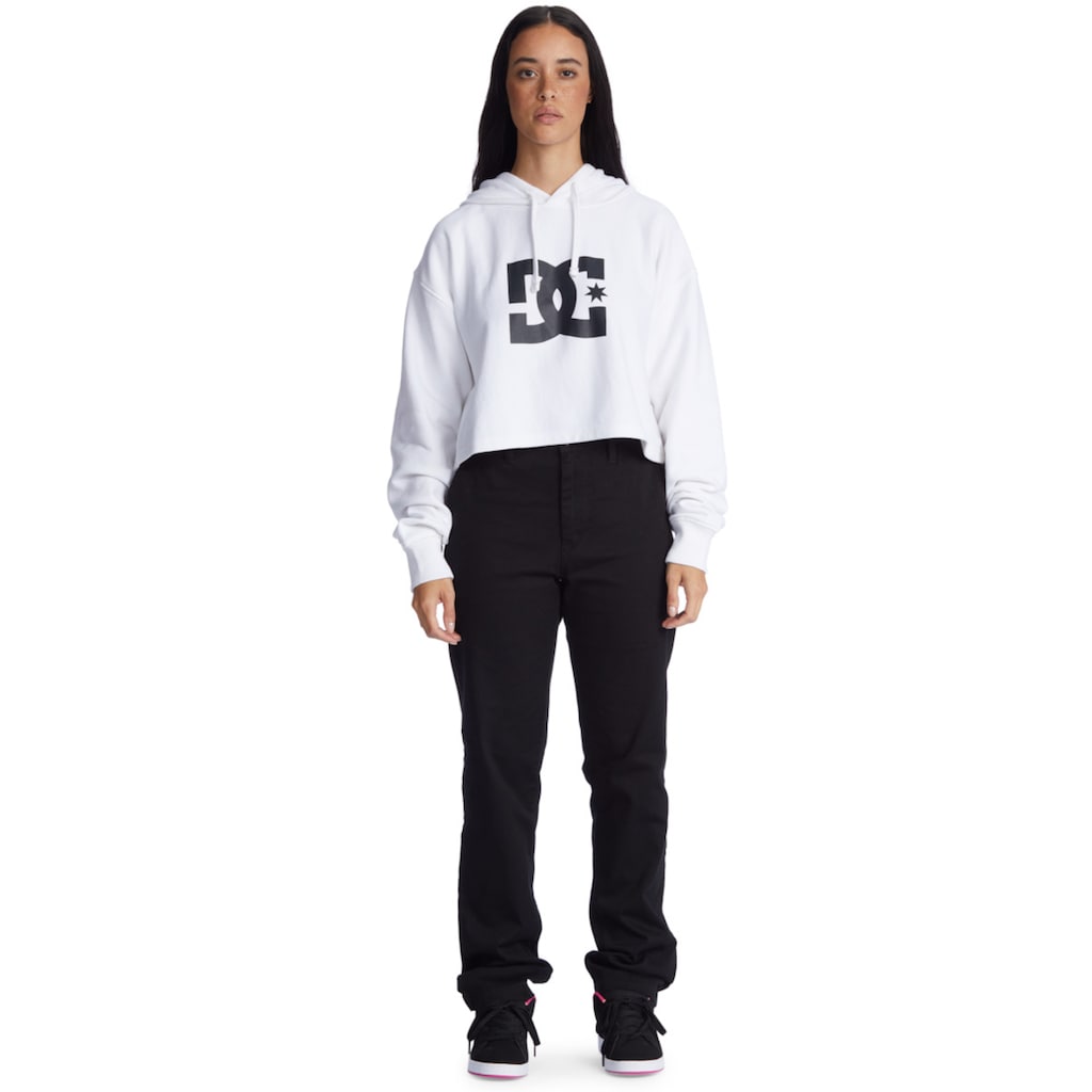 DC Shoes Kapuzensweatshirt »DC«