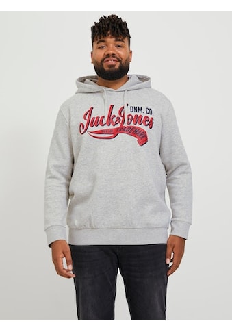 Kapuzensweatshirt »JJELOGO SWEAT HOOD 2 COL 23/24 NOOS PLS«