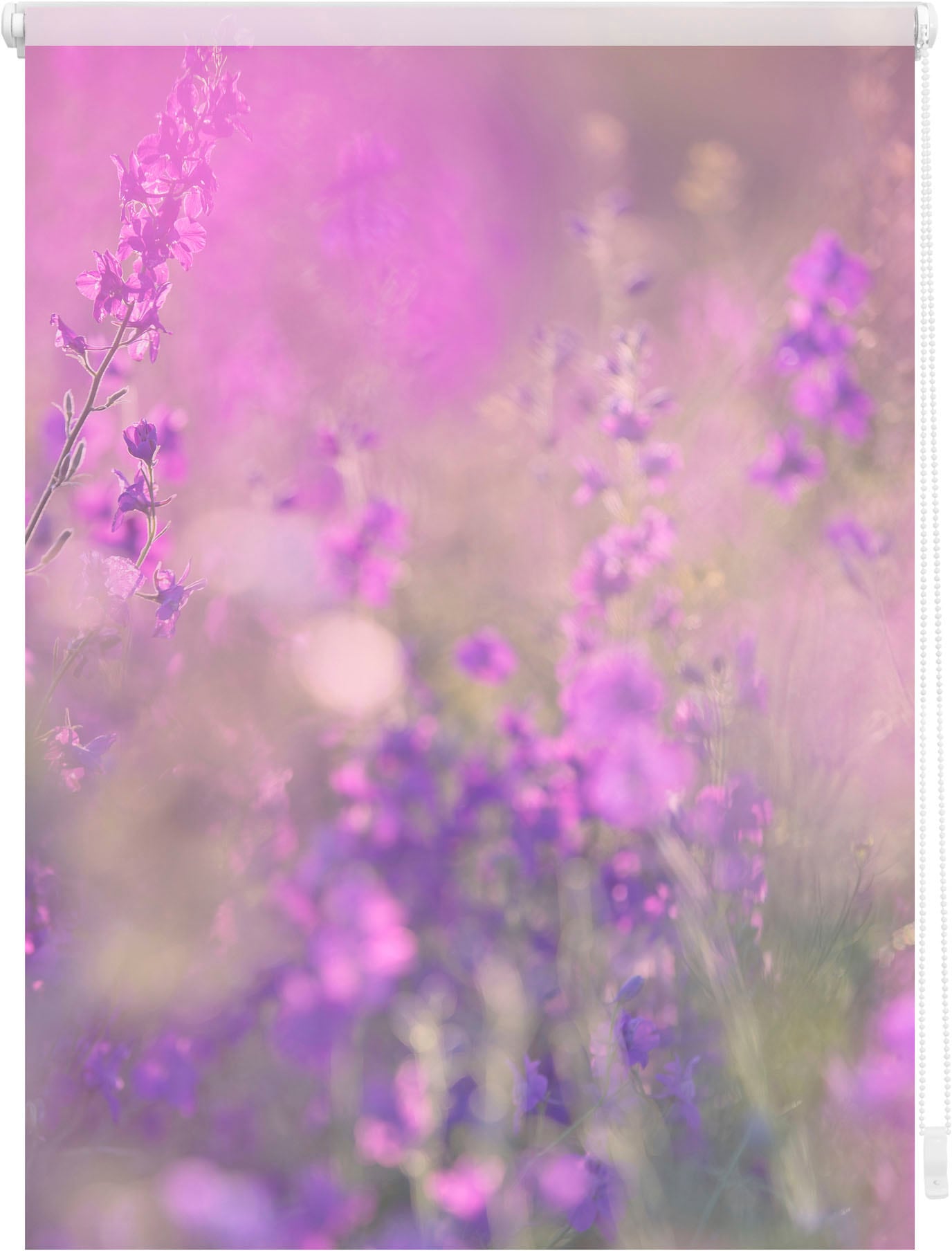 LICHTBLICK ORIGINAL Seitenzugrollo »Rollo Klemmfix, ohne Bohren, Verdunkelung, Blumenwiese« verdunkelnd Verdunkelung | energiesparend freihängend