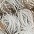 beige/grau