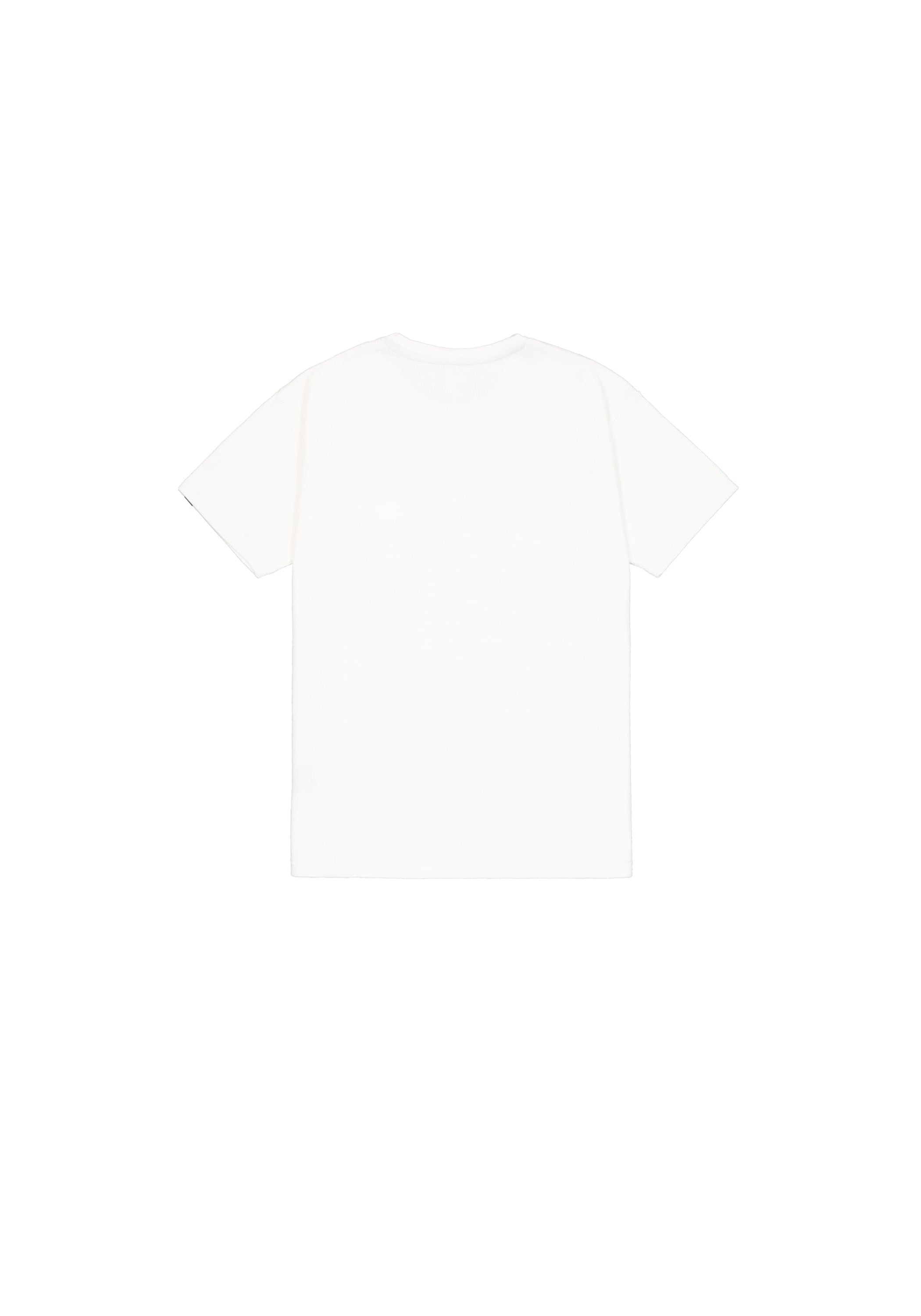 Alpha Industries T-Shirt »Logo Airborn T-Shirt«