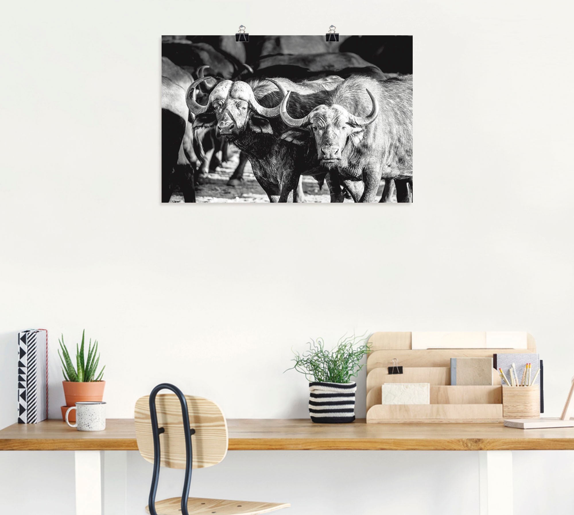 Artland Alubild, oder Wildtiere, (1 »Büffel«, Wandaufkleber Poster Größen in Leinwandbild, bestellen als versch. St.), bequem Wandbild