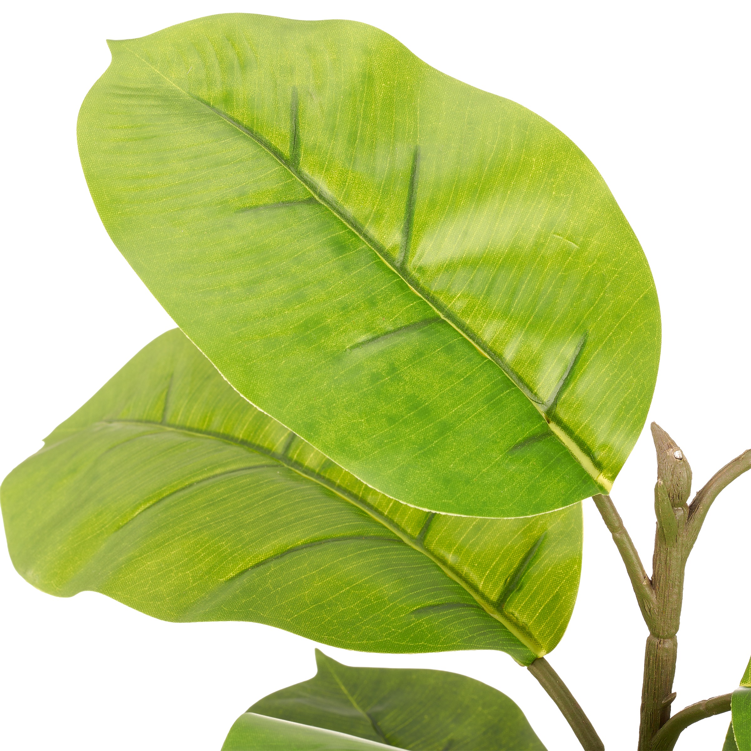 Creativ green Kunstpflanze »Ficus« mit naturgetreuem Blattwerk
