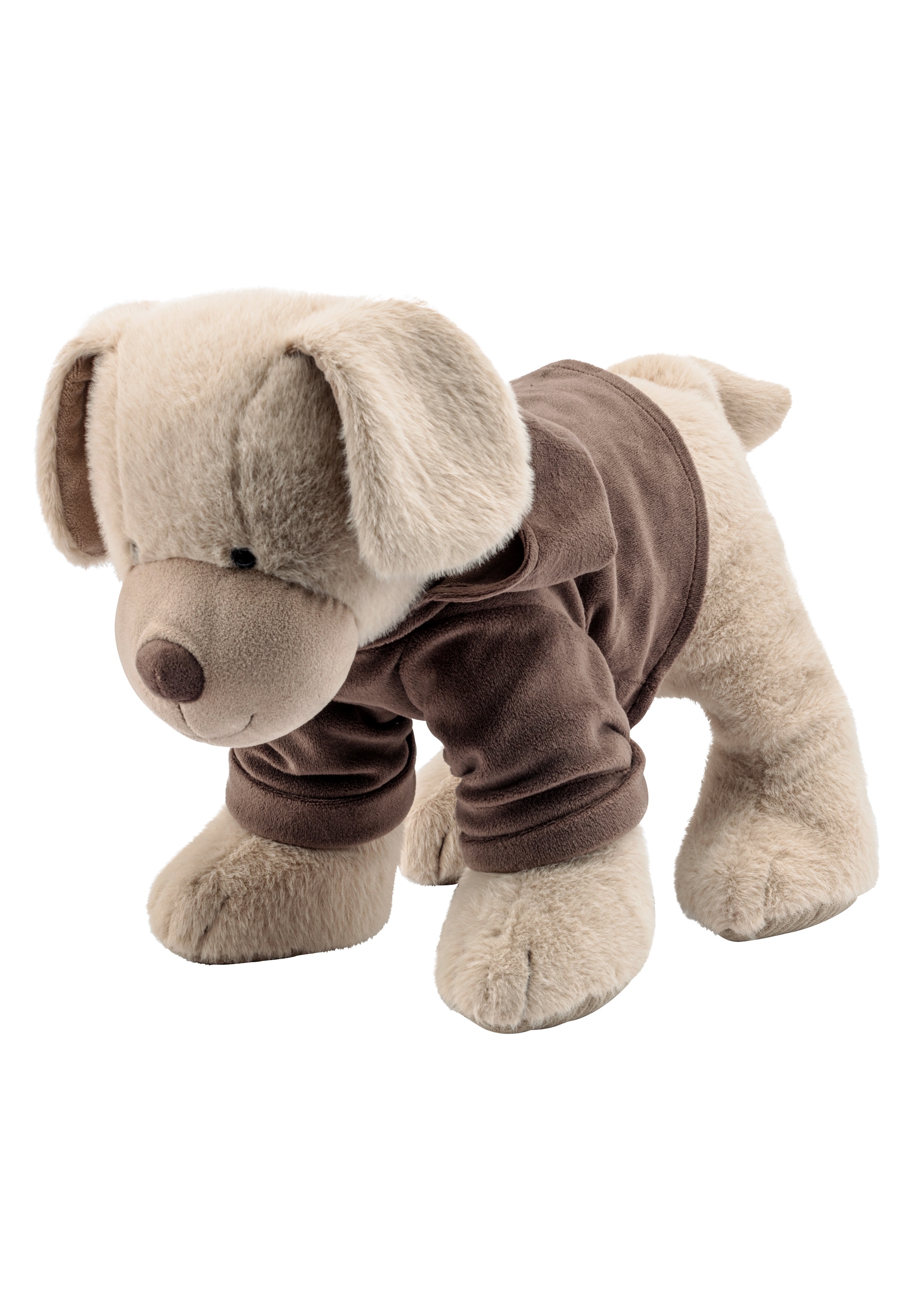 Sterntaler® Kuscheltier »Kuscheltier XL HUND Lucky«