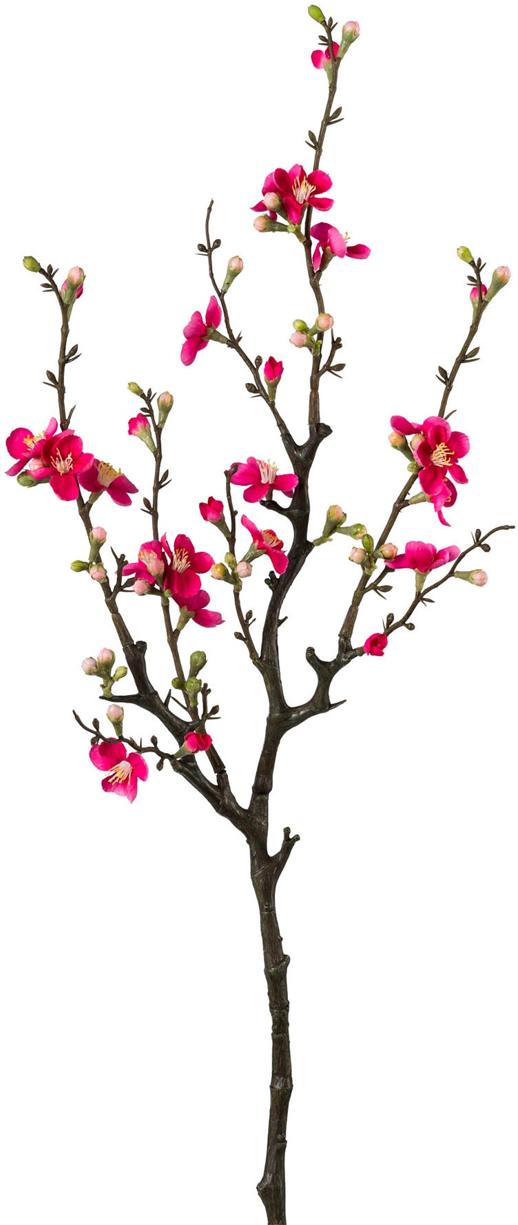 Creativ green Kunstzweig »Quittenzweig«