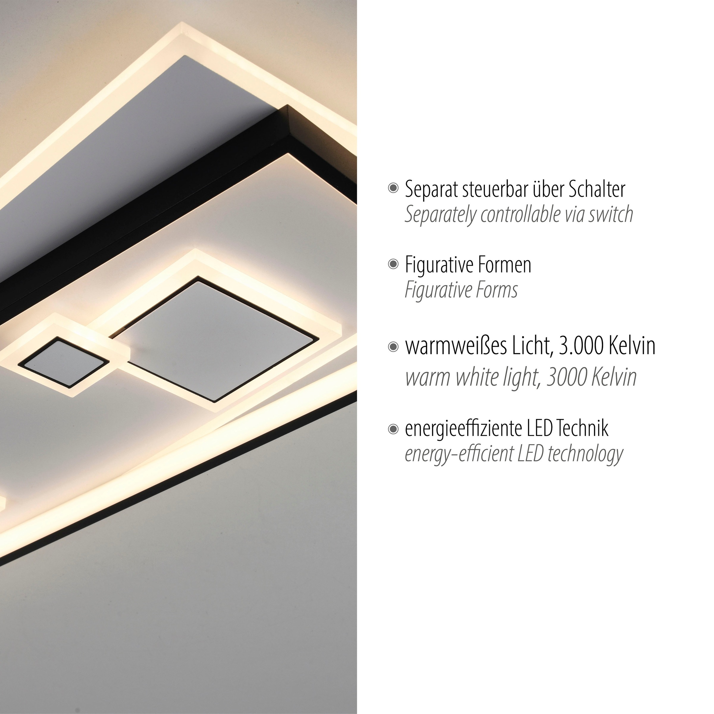 Paul Neuhaus Deckenleuchte »MAILAK«, 2 flammig, Leuchtmittel LED-Board-LED-Board | LED fest integriert-LED fest integriert, LED, separat steuerbar (Schalter)