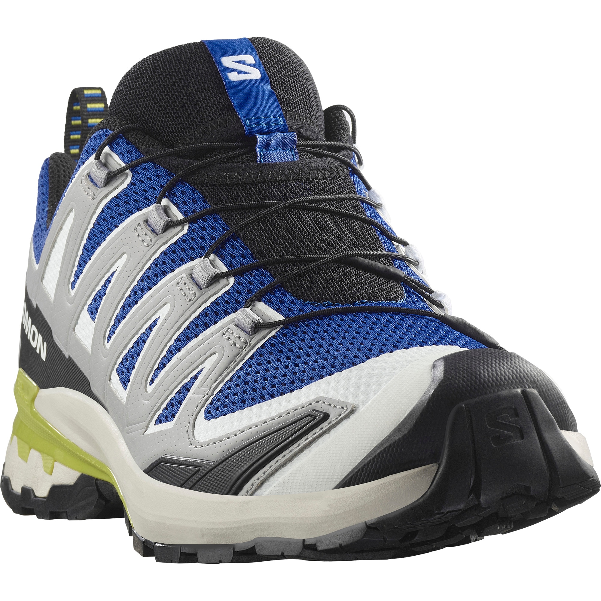 Salomon Trailrunningschuh »XA PRO 3D V9«, wasserdicht