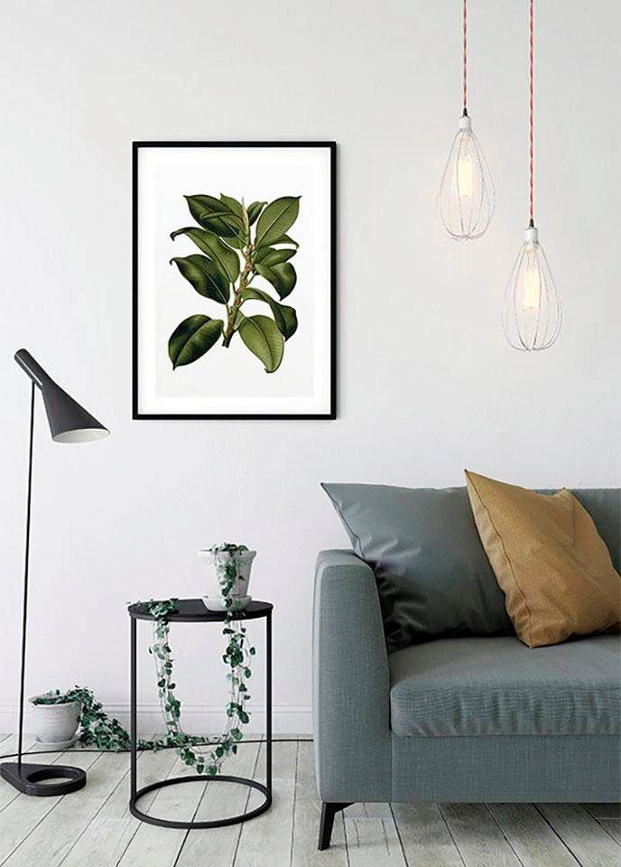 Kinderzimmer, Poster online kaufen Komar 3 Pflanzen-Blätter, Tree«, mit Wohnzimmer Garantie »Elastica Jahren XXL Schlafzimmer, |