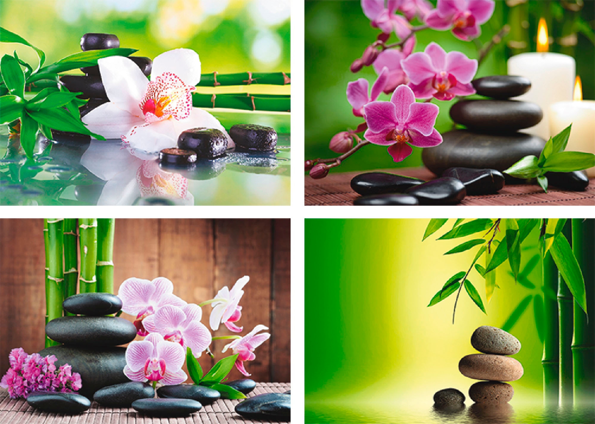 Bild, Artland Rechnung »Spa Poster, Zen auf Wandbild, Steine«, Zweige kaufen St.), (4 Wandposter Poster Bambus Zen,